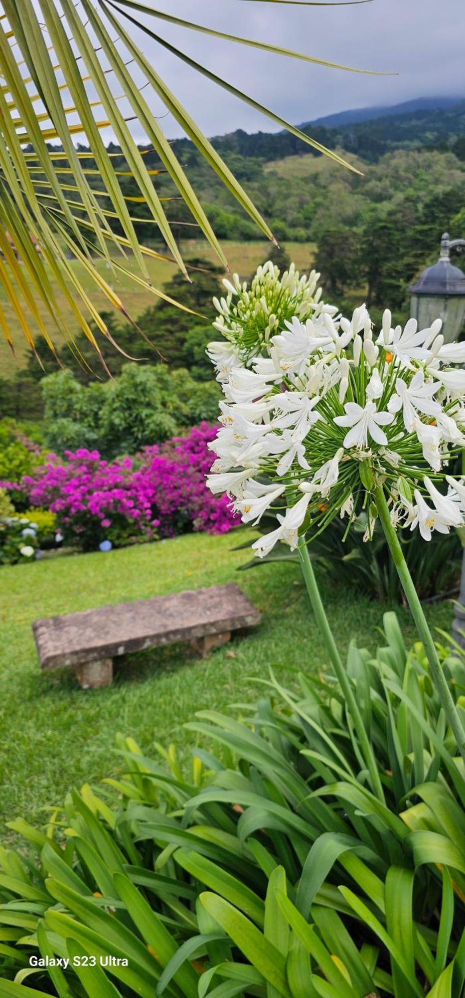 Finca Paraiso Mountain Retreat Near San Jose Airport Hotel