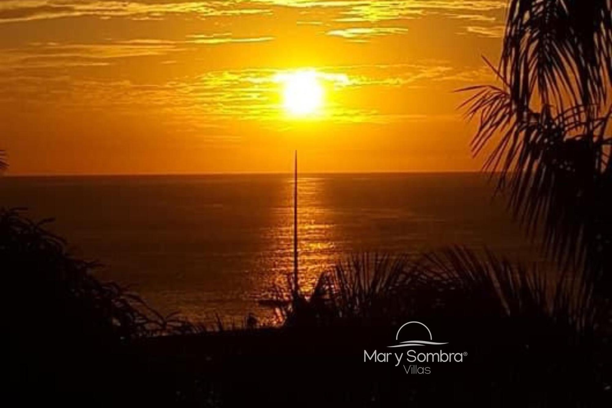 Mar Y Sombra *