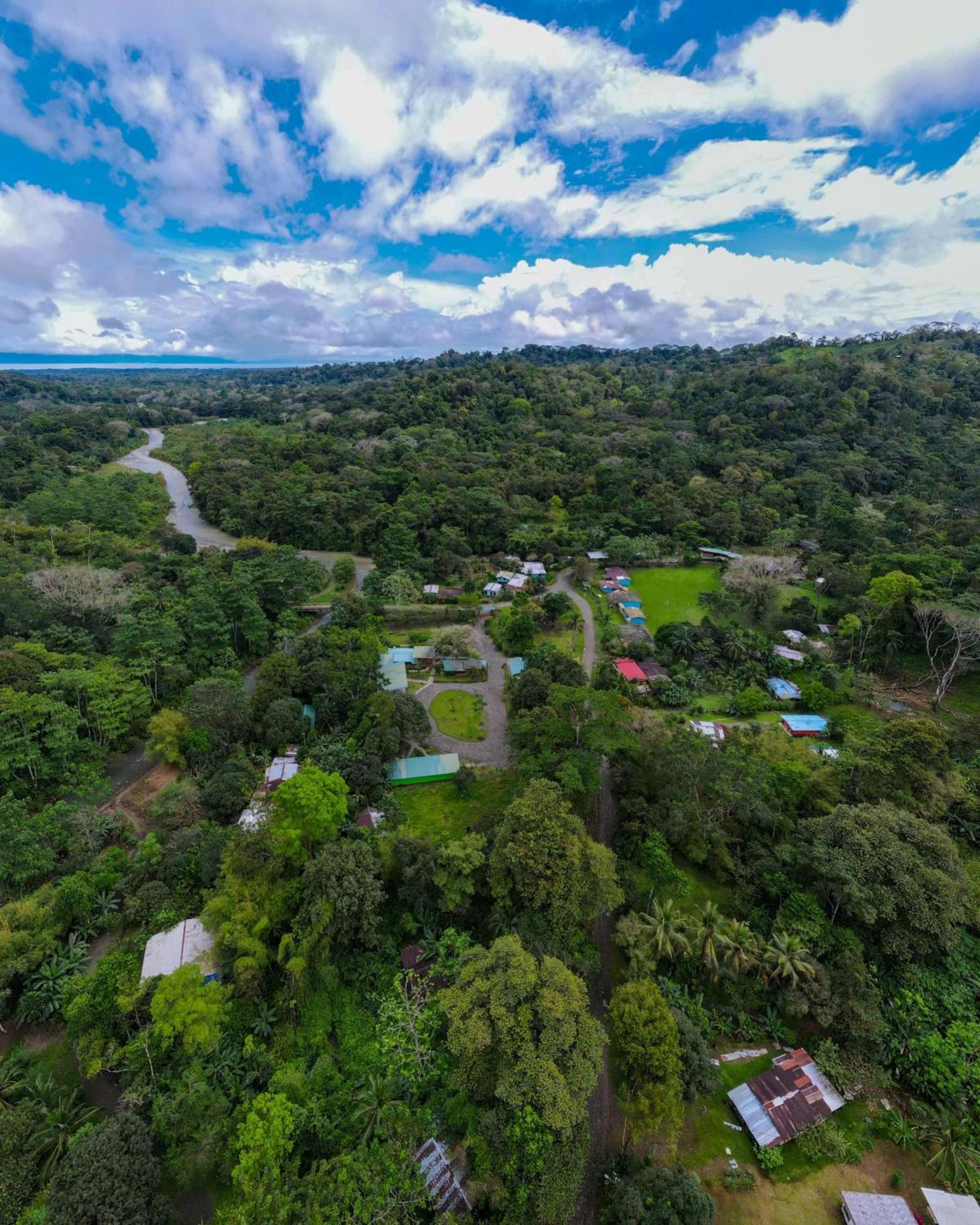 Birding Corcovado Eco Puerto Jimenez