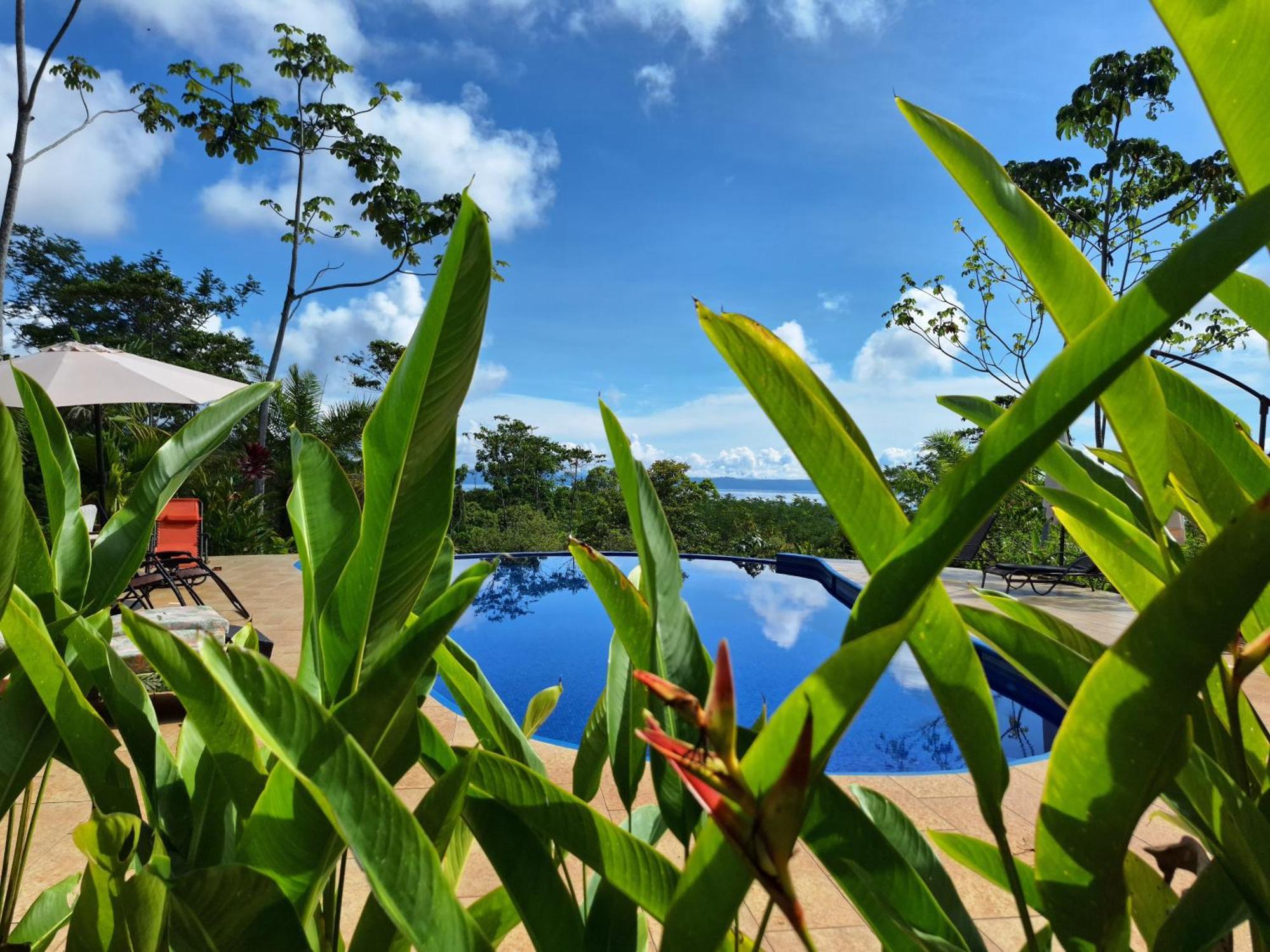 Holiday home Birding Corcovado Eco *