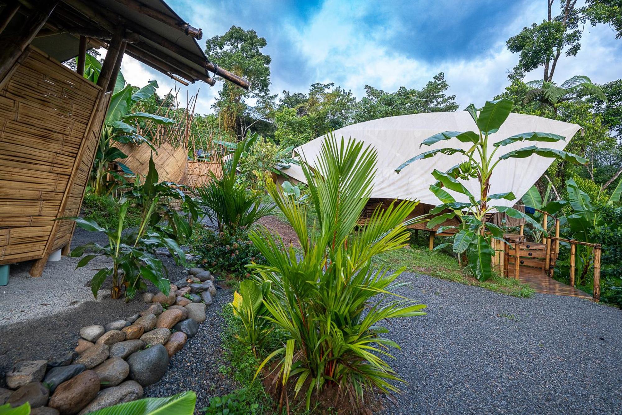 Jungle Gayborhood San Luis (Osa, Puntarenas)
