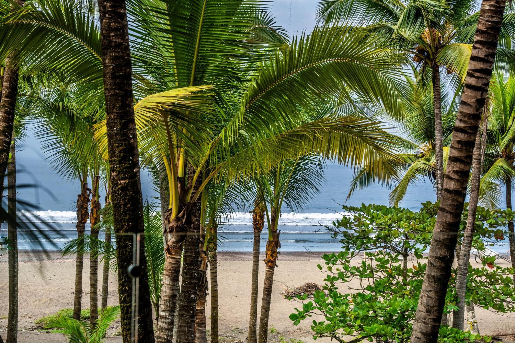 Lia Beachfront Jaco