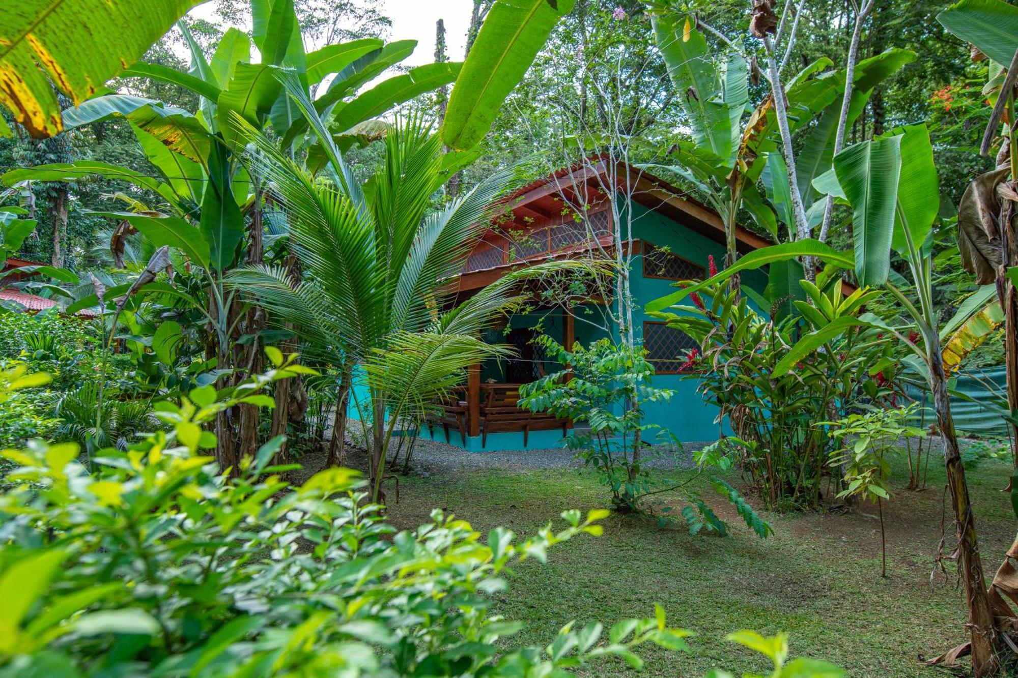 Casa Merlin Hotel Puerto Viejo de Talamanca
