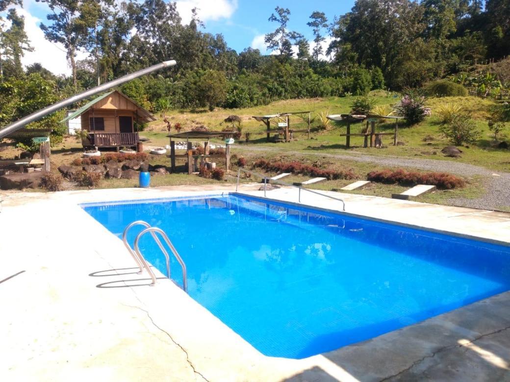 Cacaos Campsite *