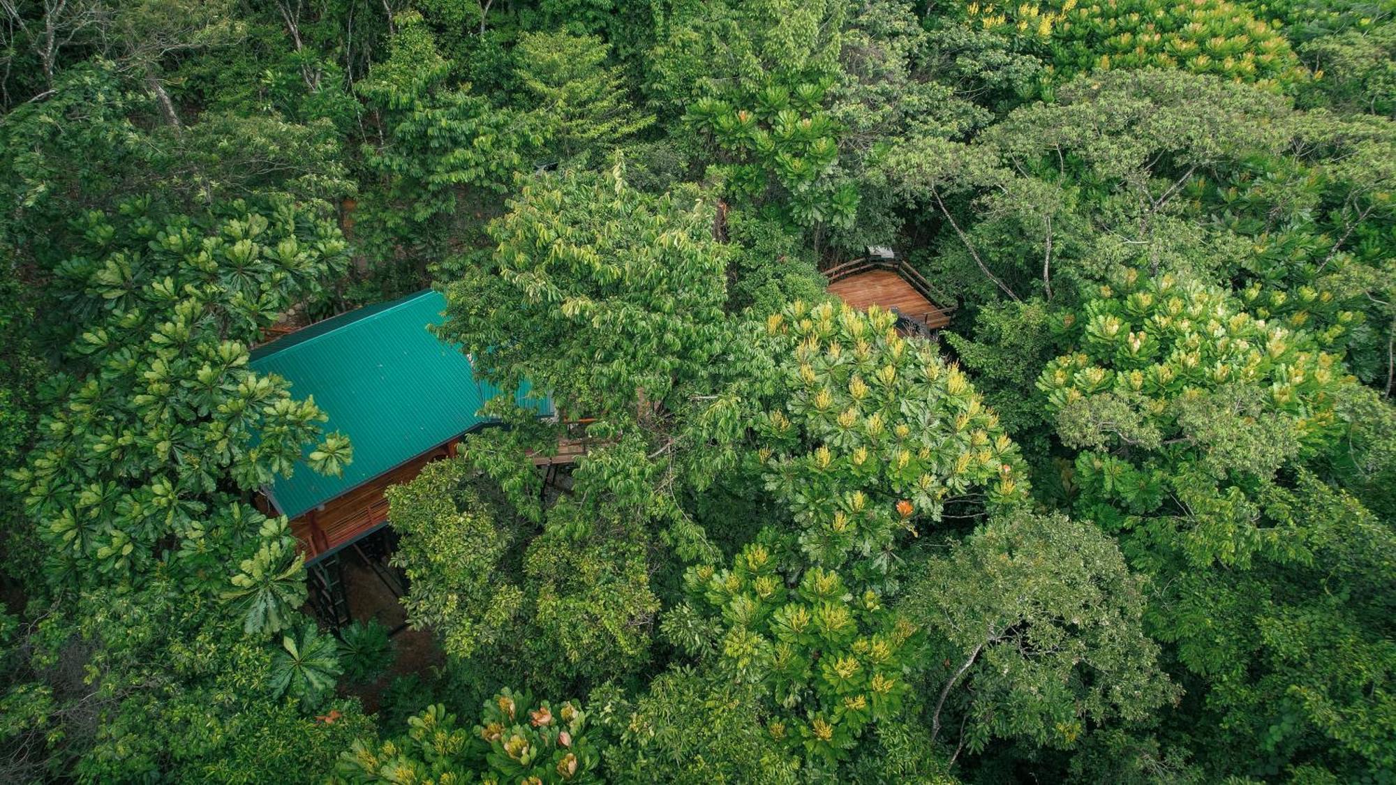 Chachagua Rainforest & Hot Springs Hotel