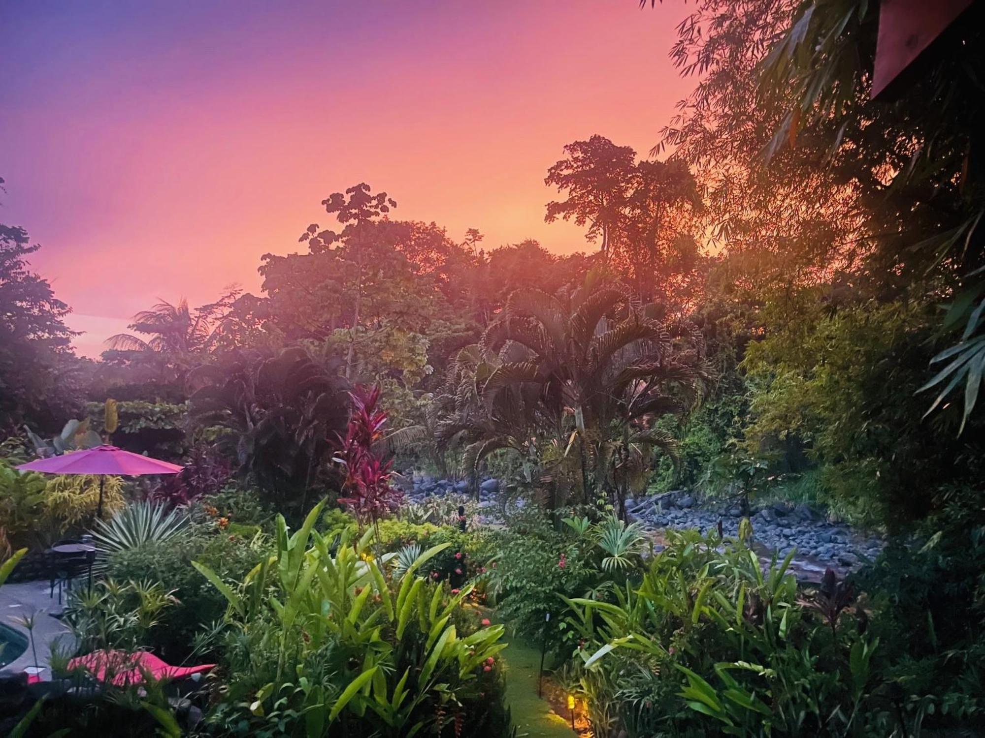 Tortuga Premium Riverfront Jungle With Jacuzzi And Pool * Uvita