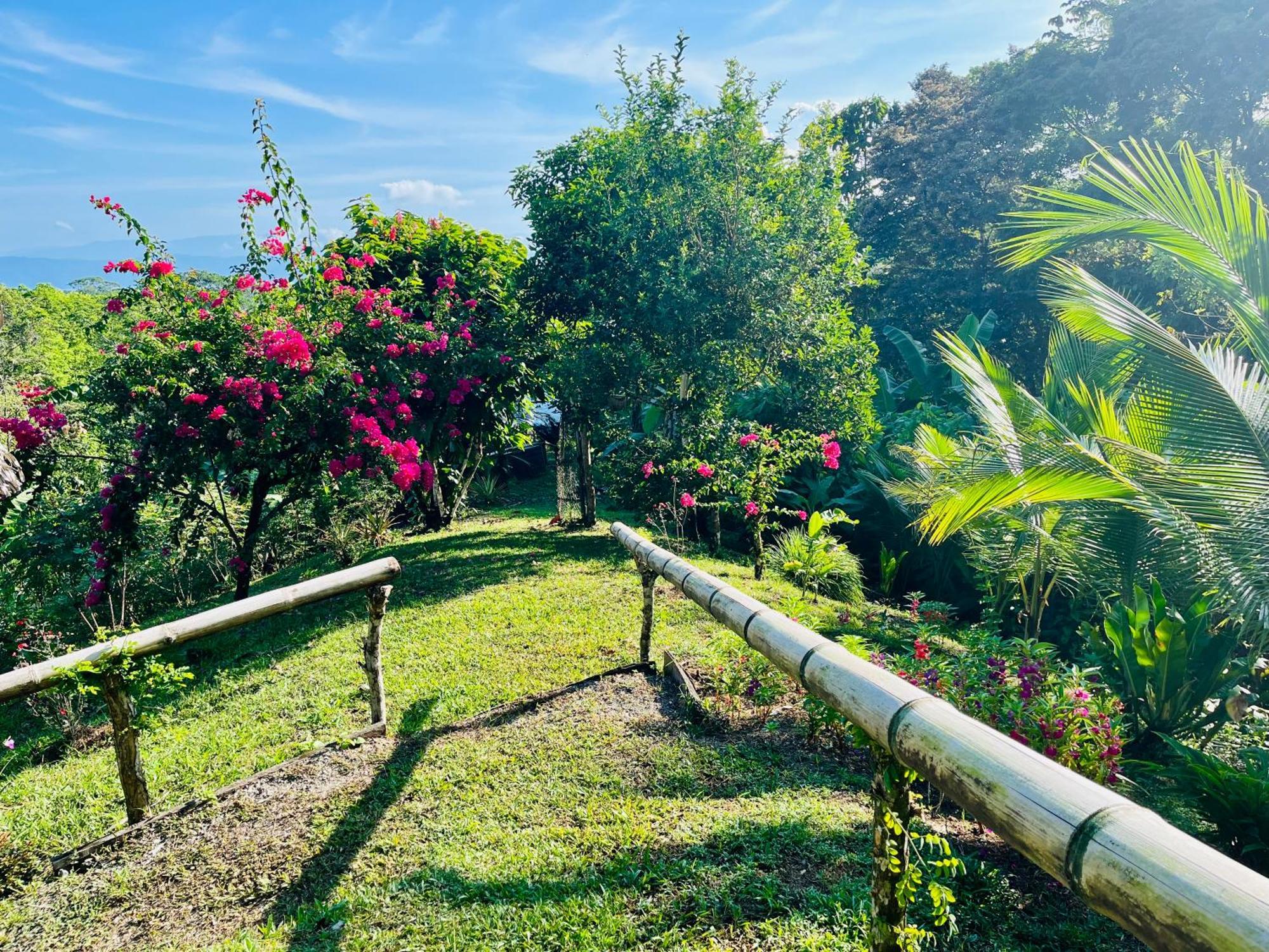 El Cerrito Bed & Breakfast Puerto Jimenez