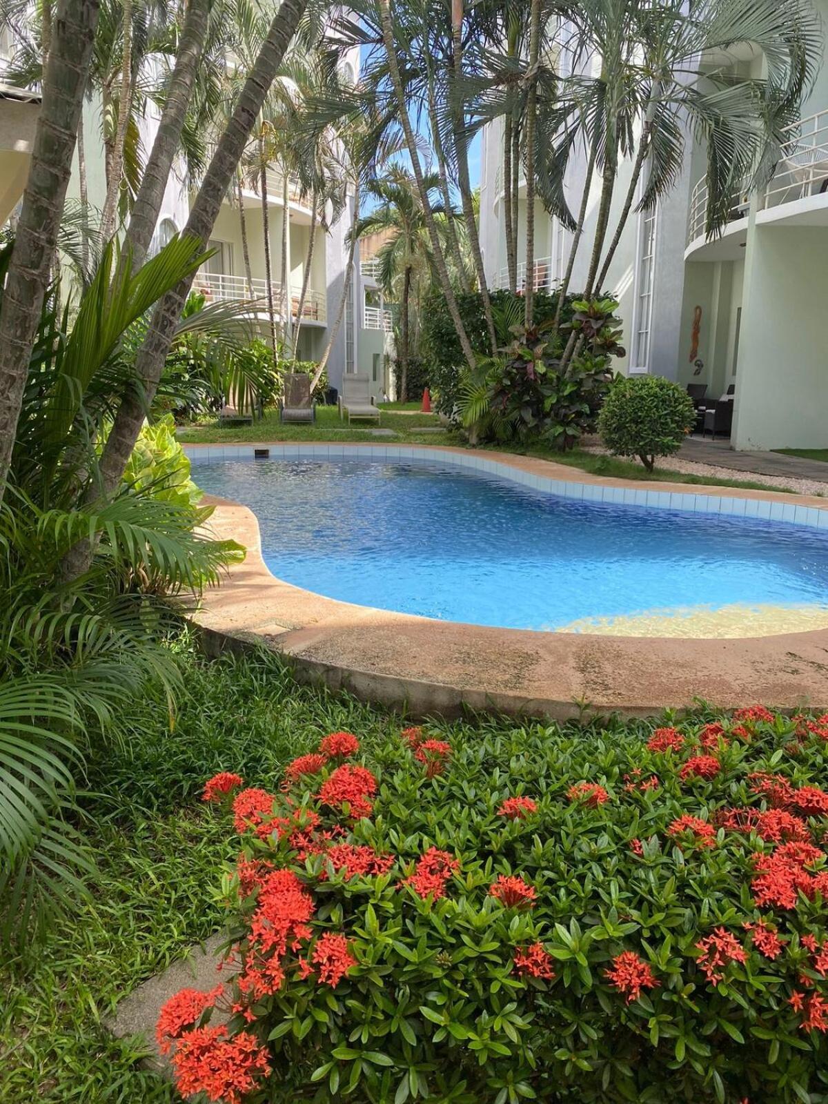 Surf For 6 Guests, Swimming Pool, Near The * Tamarindo