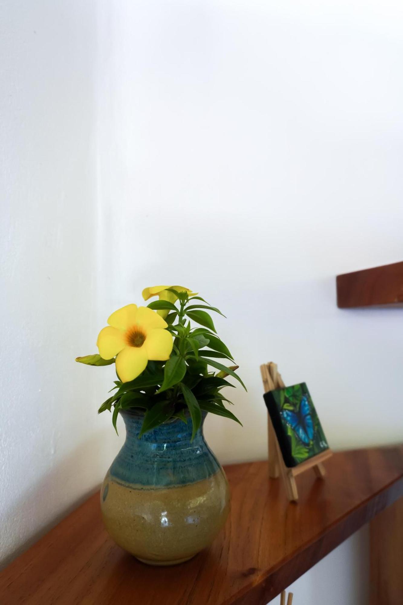 Sueno Rio Celeste Boutique Guest house
