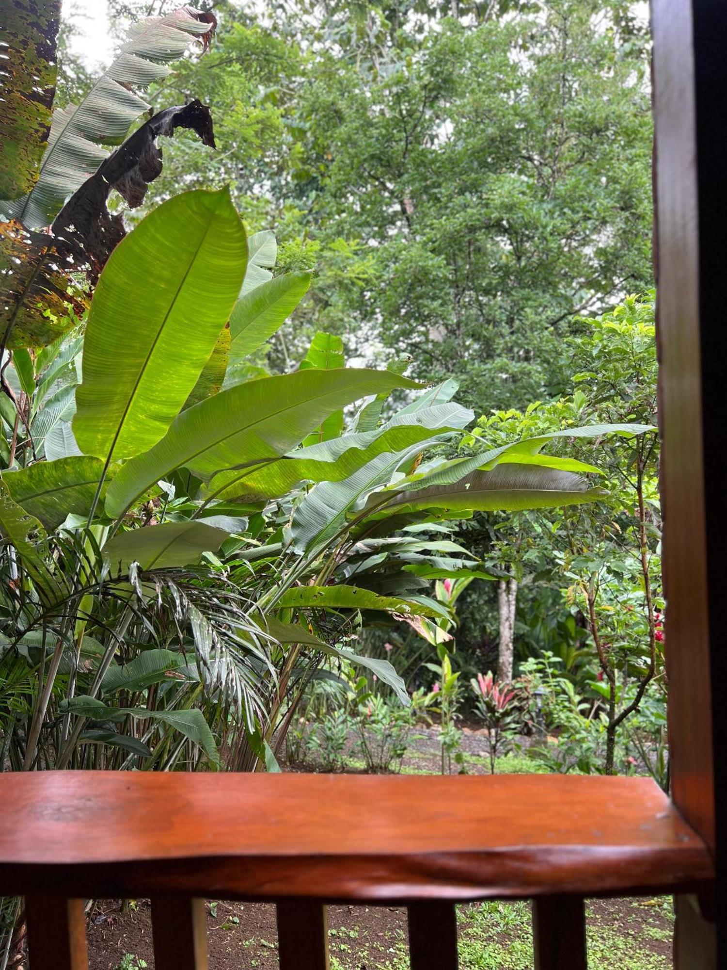 Arenal Rustic La Fortuna