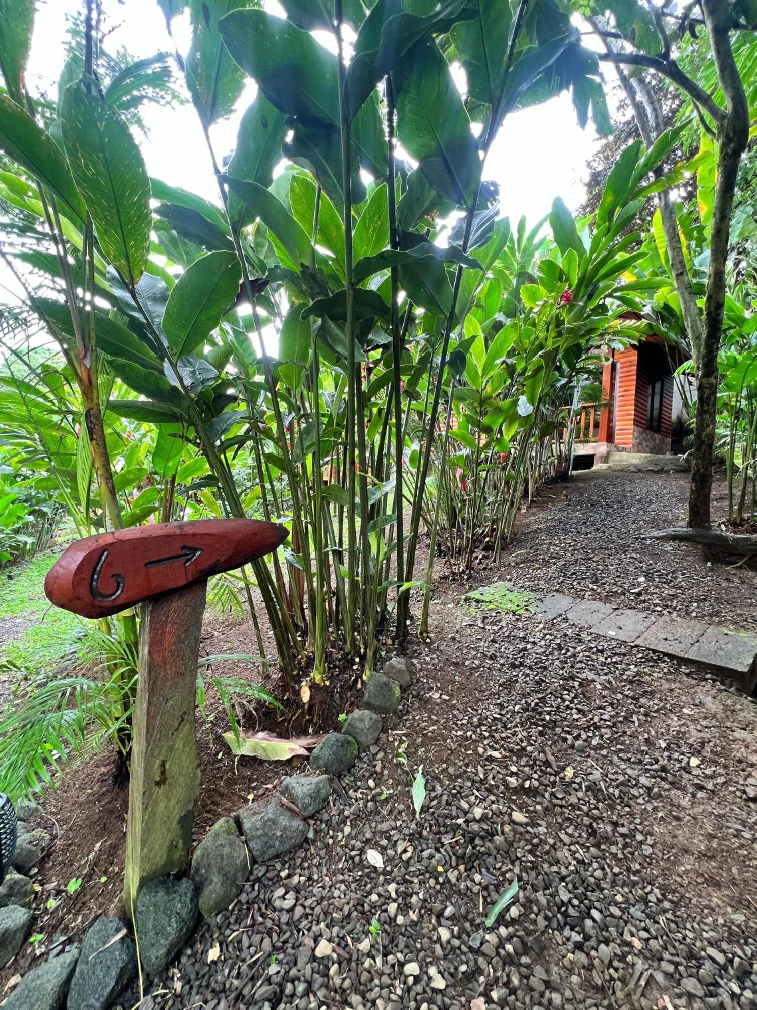 Arenal Rustic Lodge