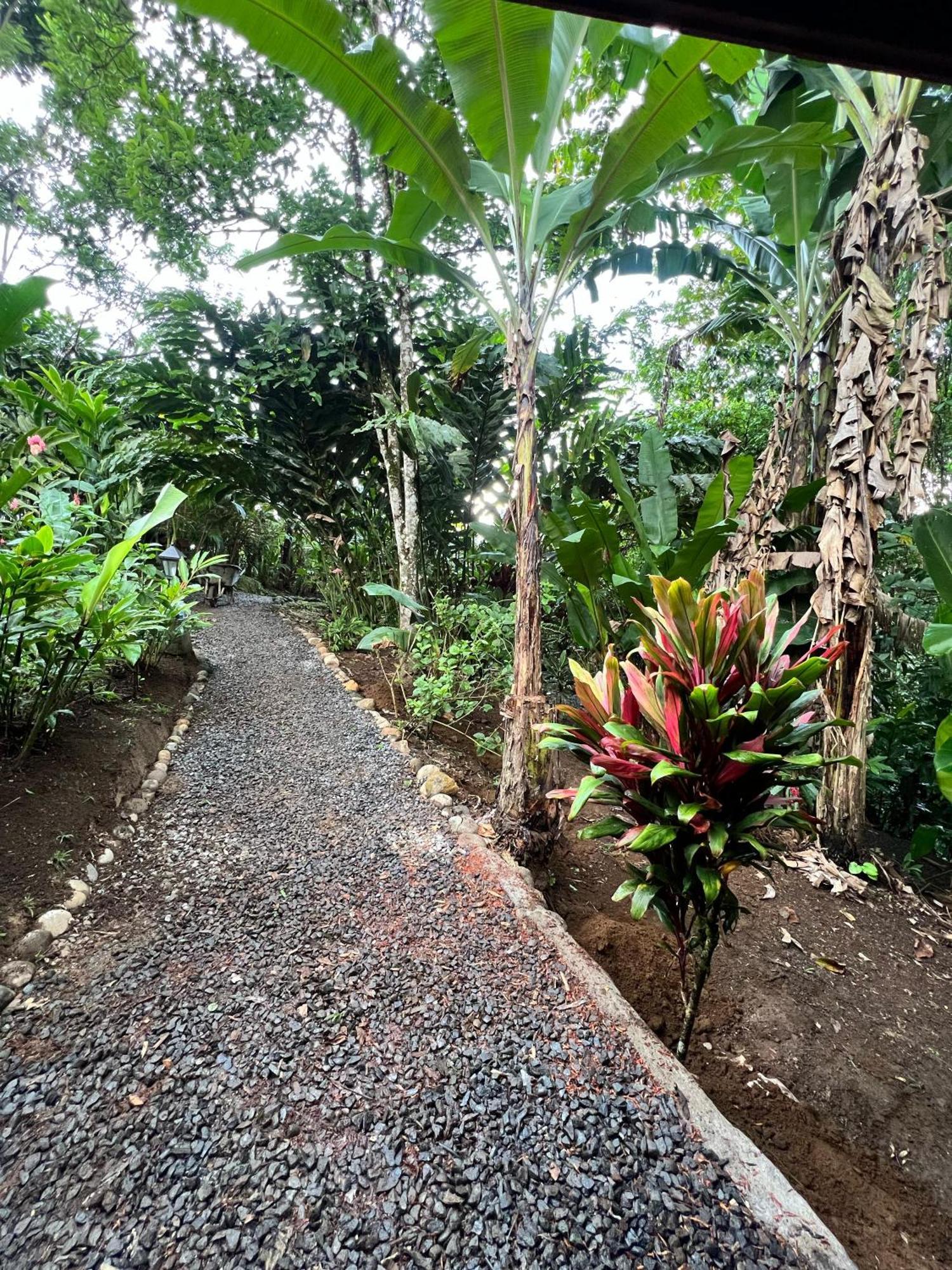 Arenal Rustic Lodge *