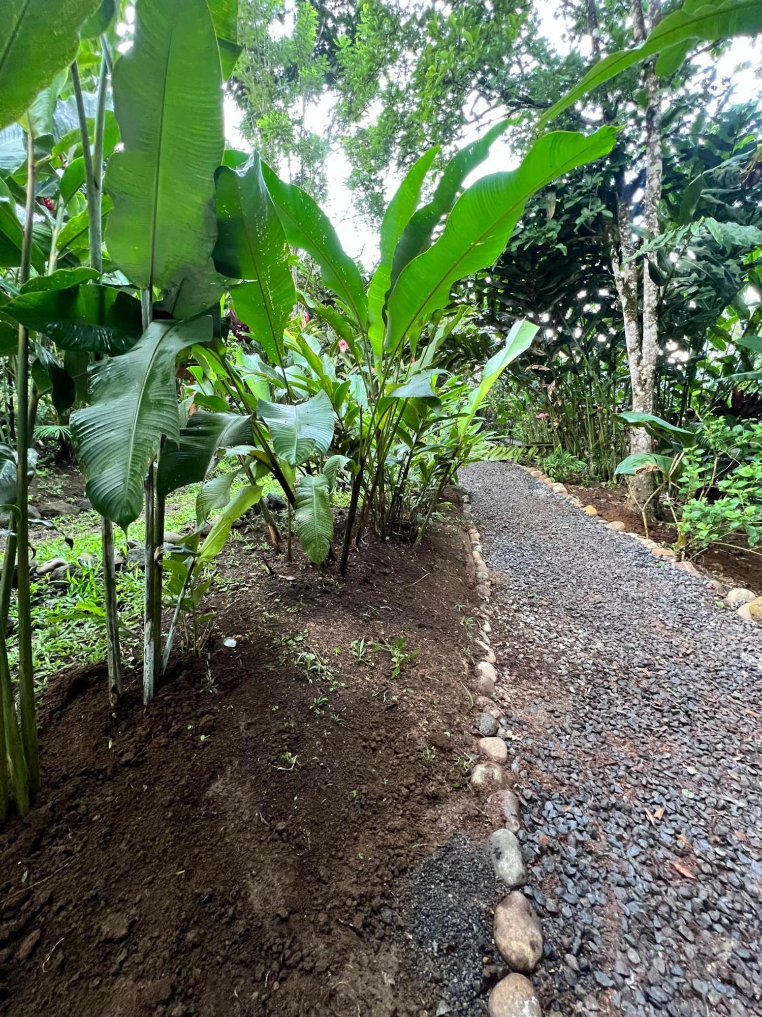 Lodge Arenal Rustic La Fortuna