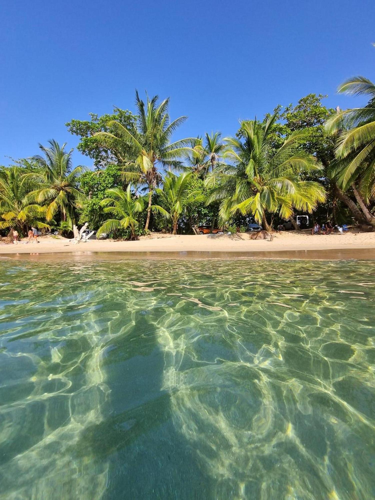 Villa Elita Luxurious Villa, Pool, Jacuzzi, Ac Wellness