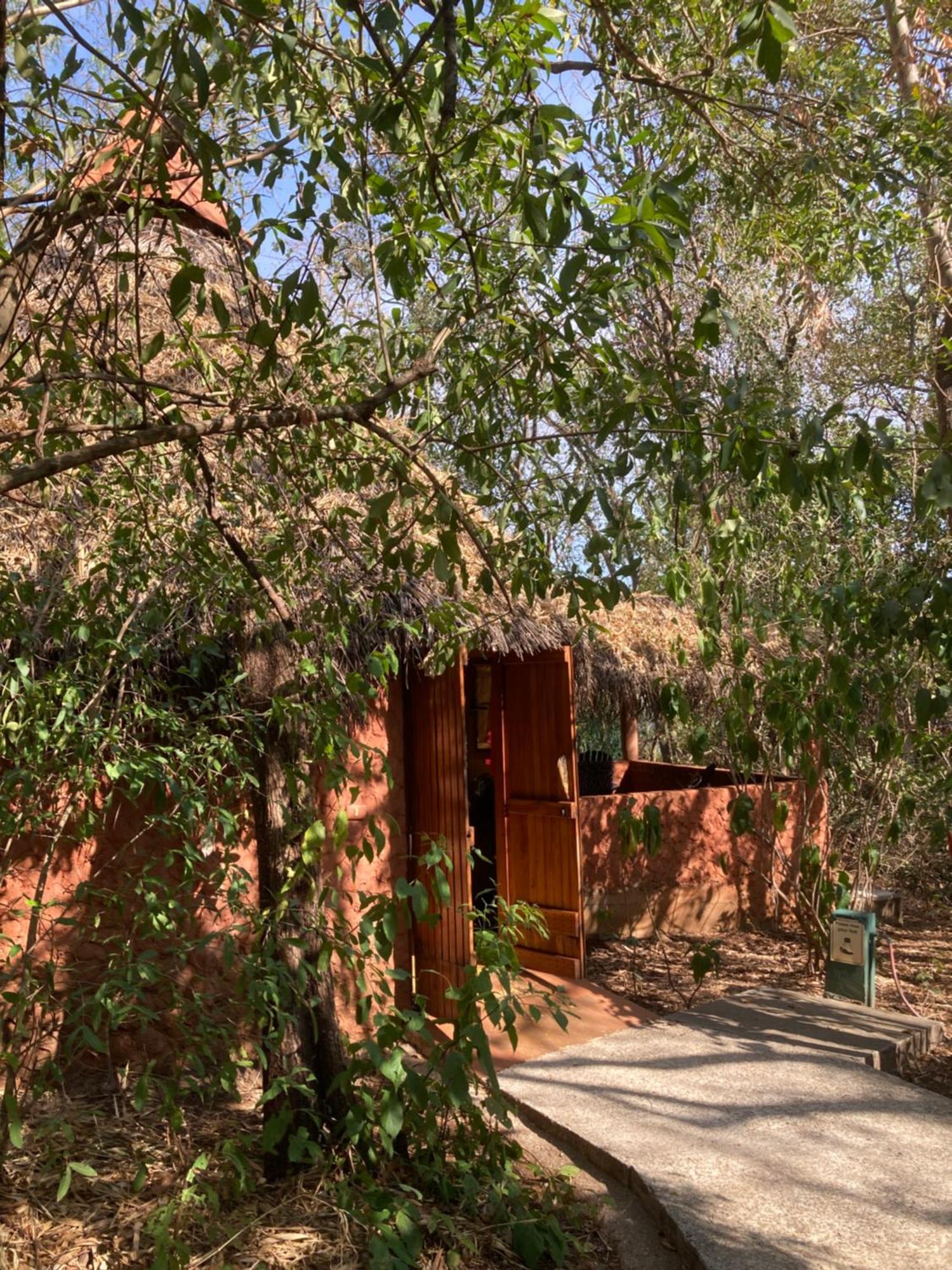 Lodge Mundo Milo Eco *