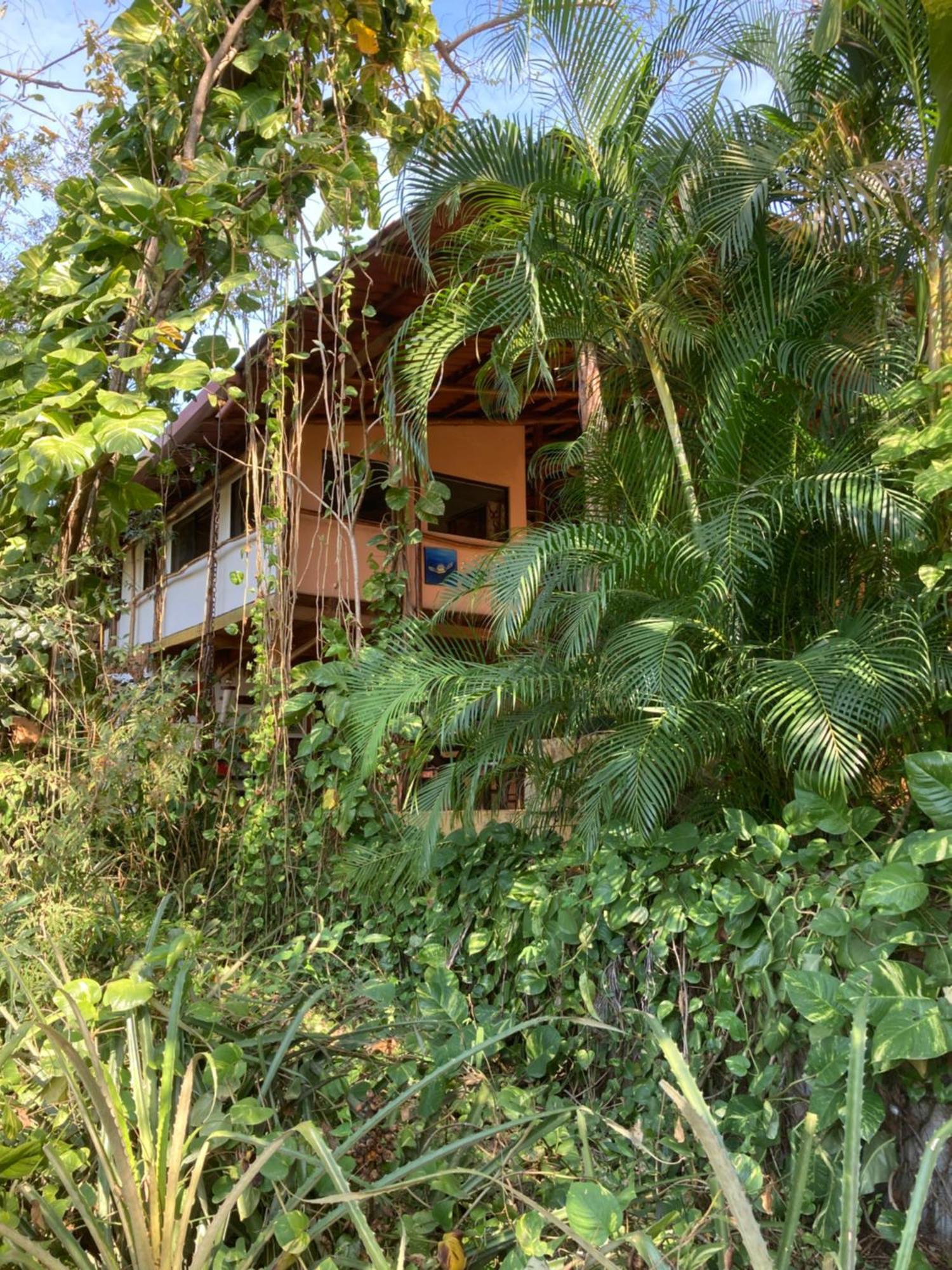 Lodge Mundo Milo Eco Paraiso (Guanacaste)