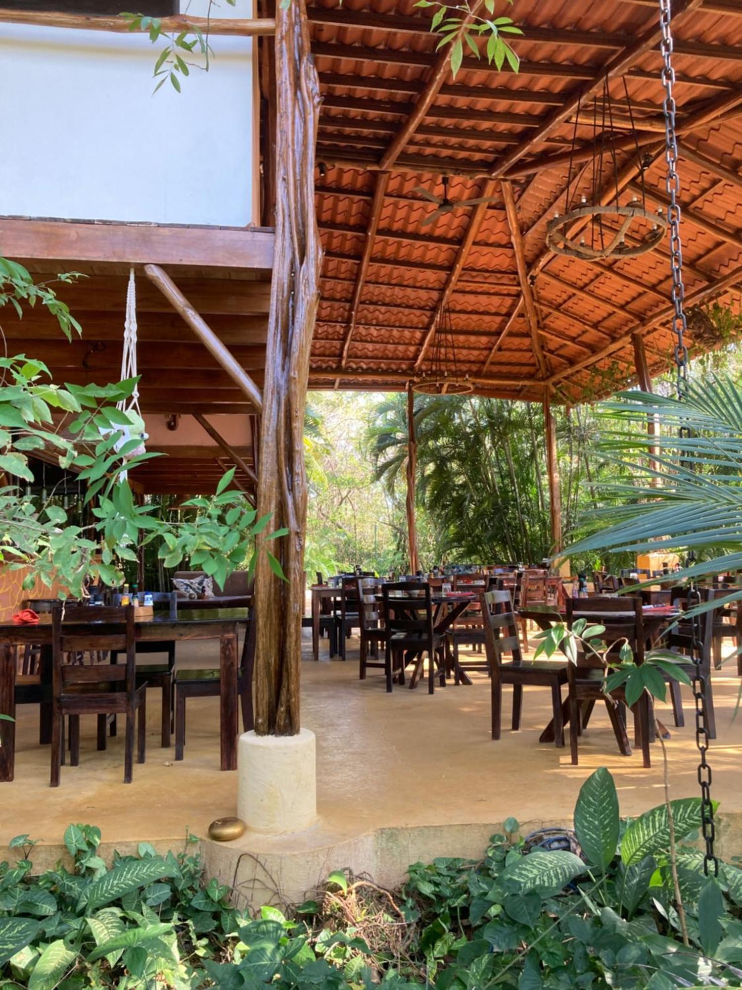 Lodge Mundo Milo Eco