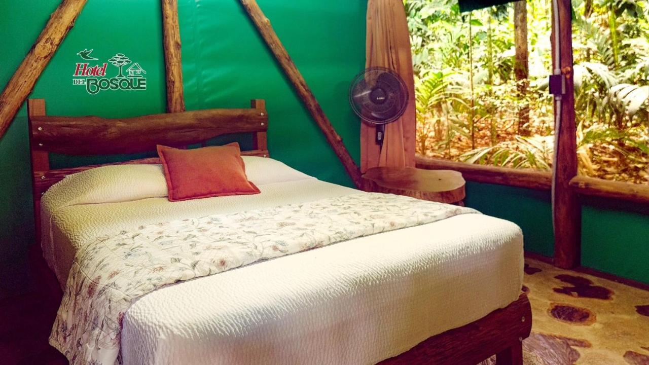 Hotel Del Bosque 2*