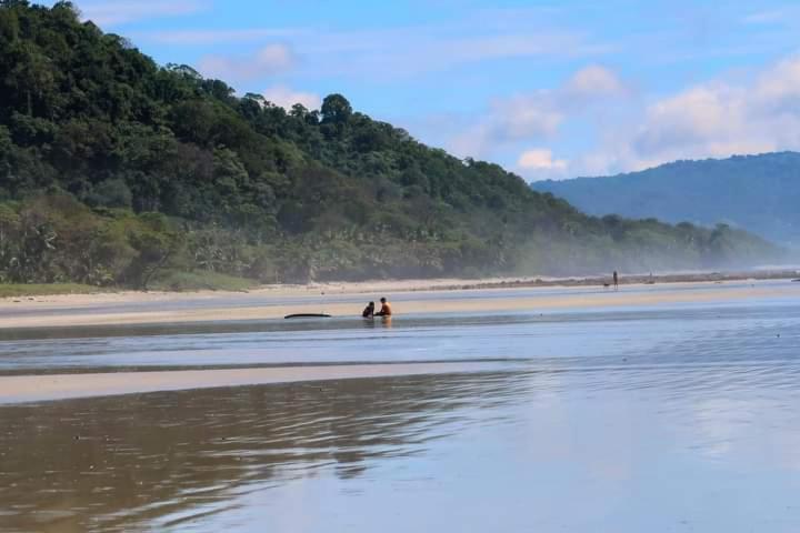 Argan 3* Playa Santa Teresa (Puntarenas)