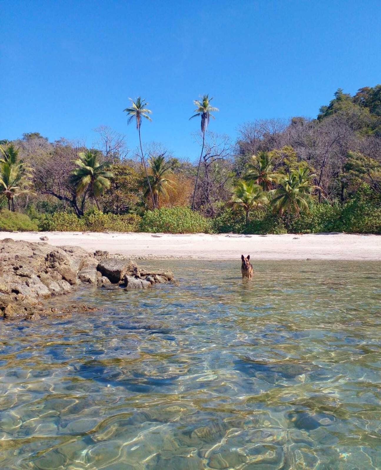 Hotel Argan Playa Santa Teresa (Puntarenas)