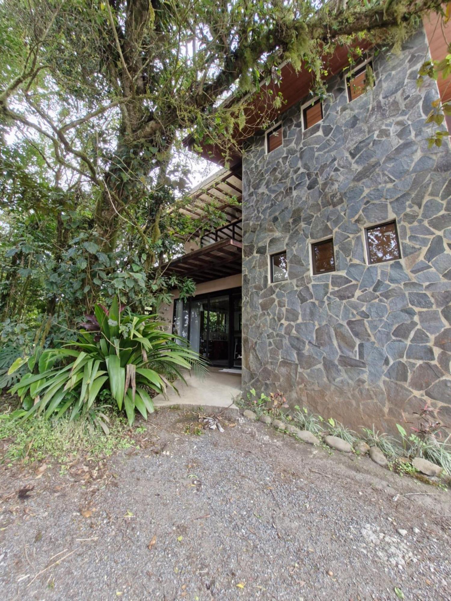 Campsite Puma Meraki Mountain View Monteverde
