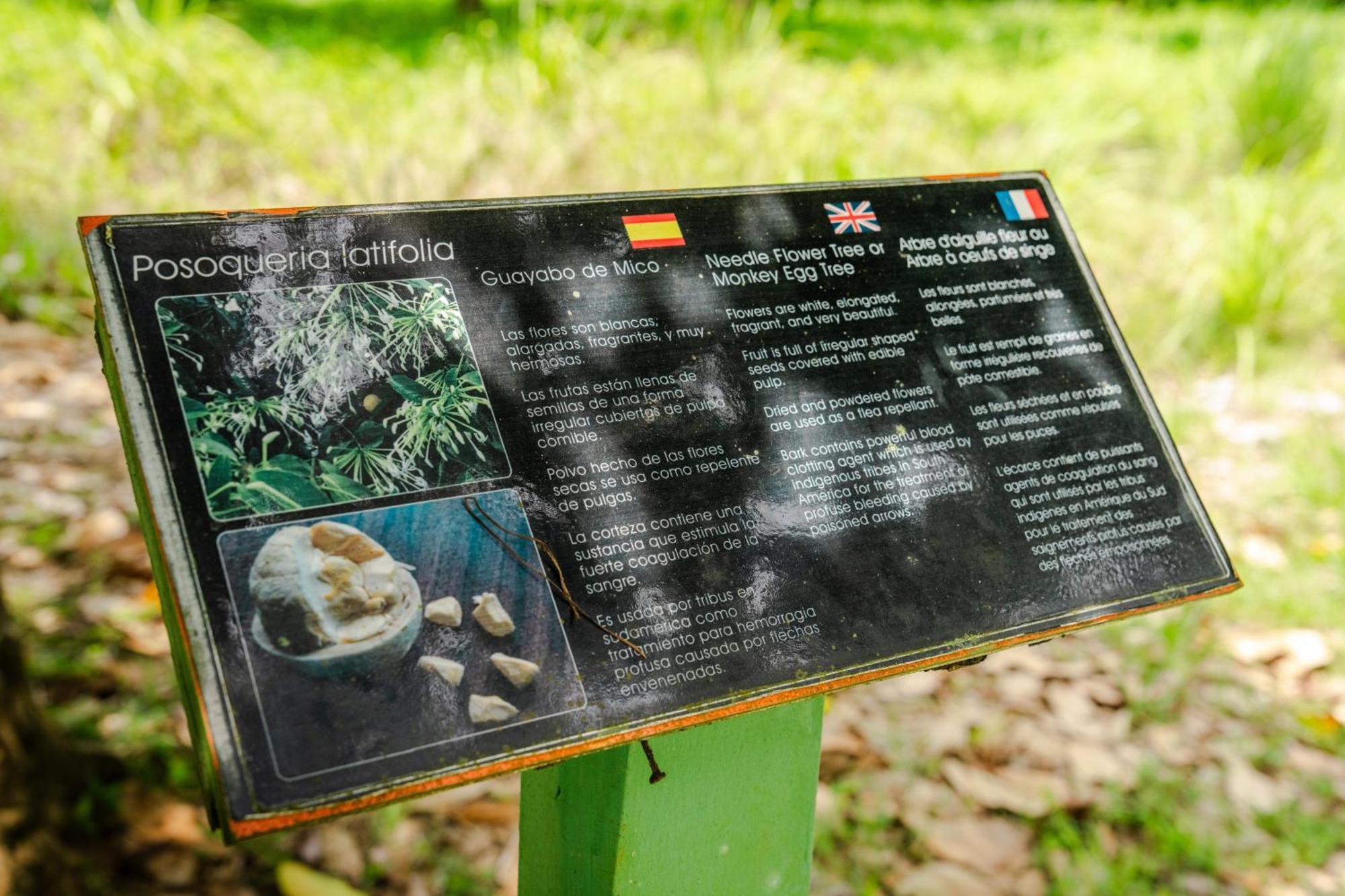 Hacienda Baru Lodge *