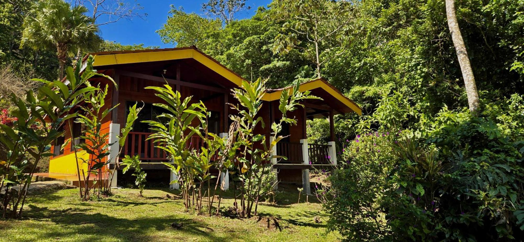 Lodge Heliconias Rainforest