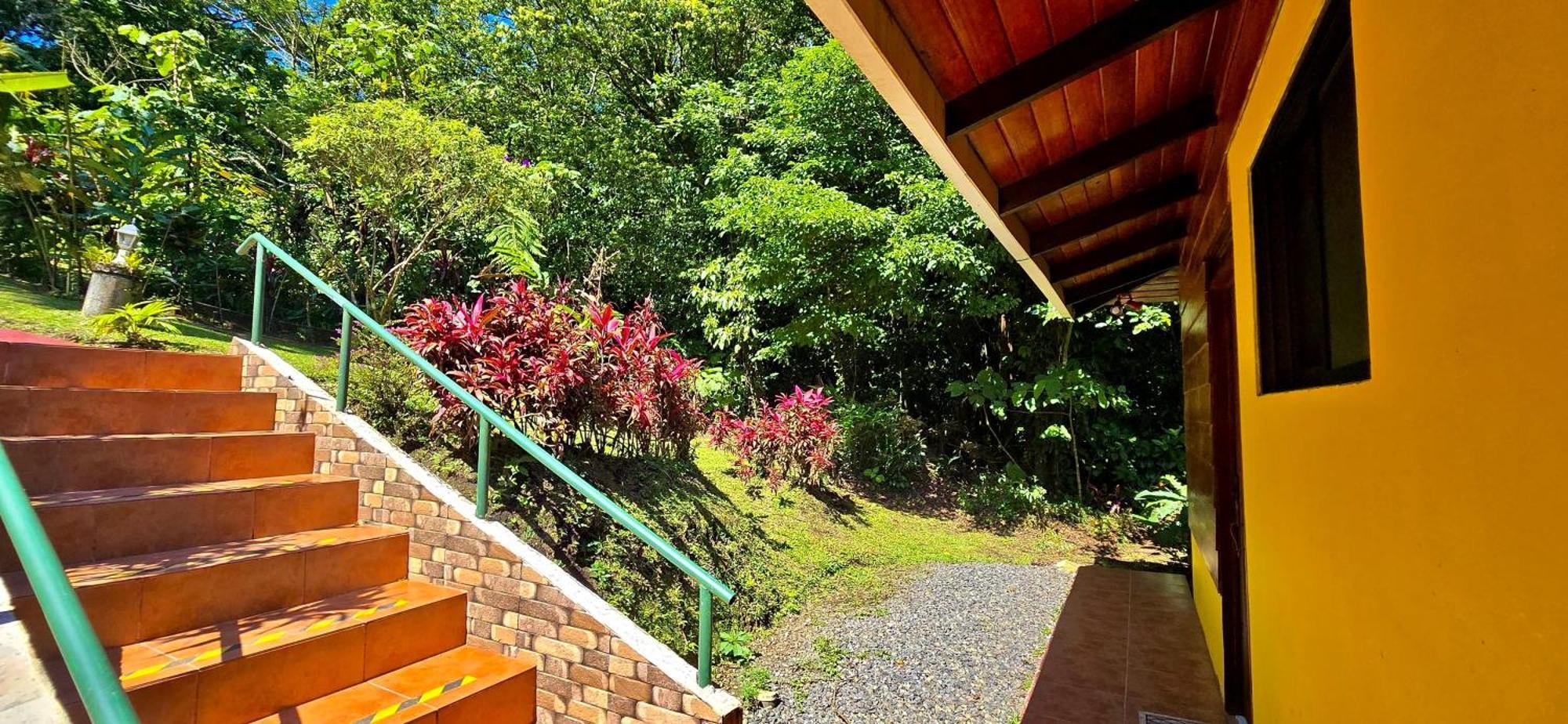 Lodge Heliconias Rainforest