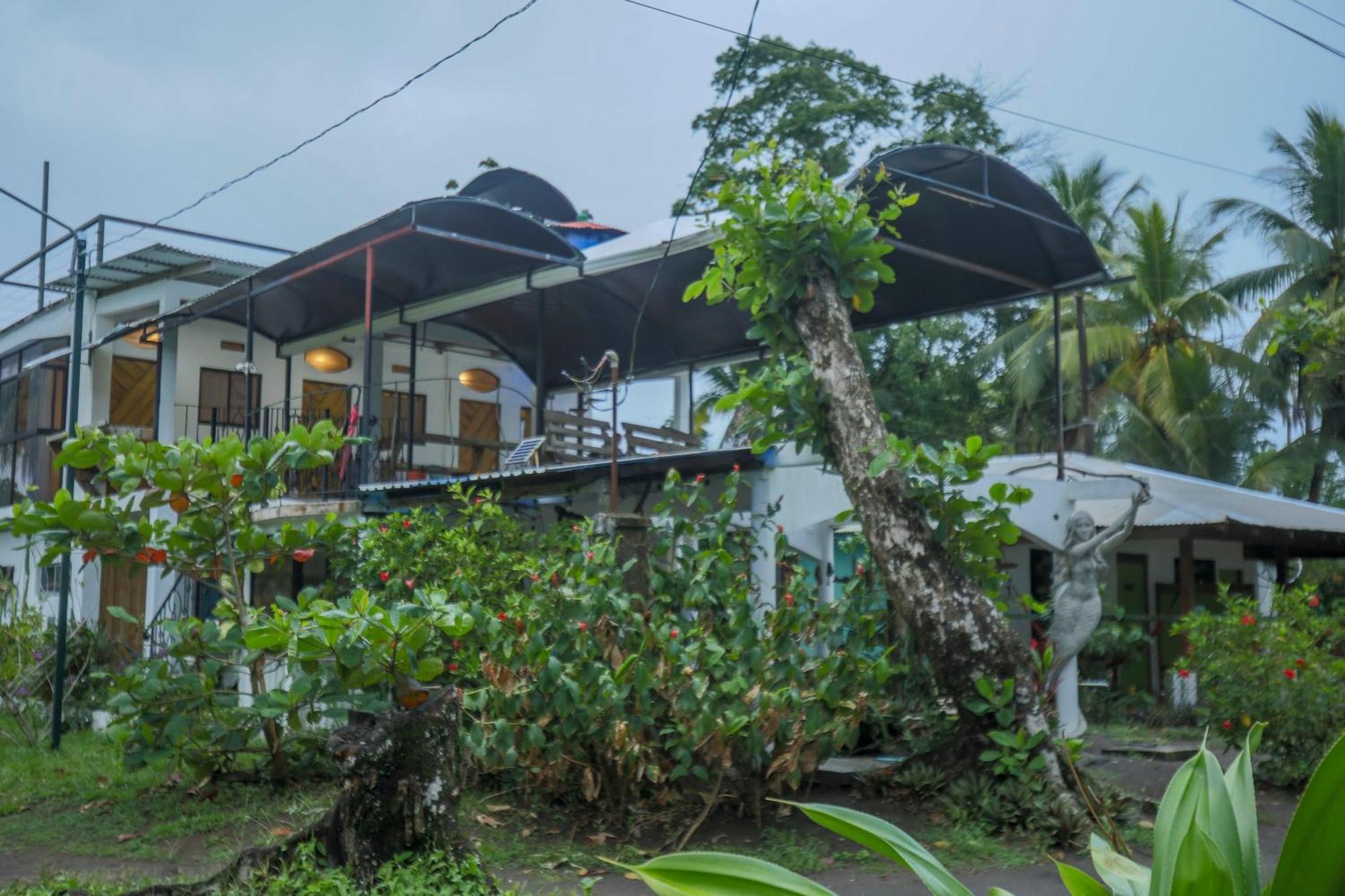 Guest house Pura Natura Beachfront Tortuguero