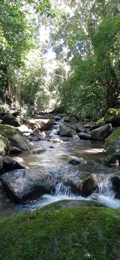 Coffee Garden Ranch Costa Rica Concepcion (Heredia)