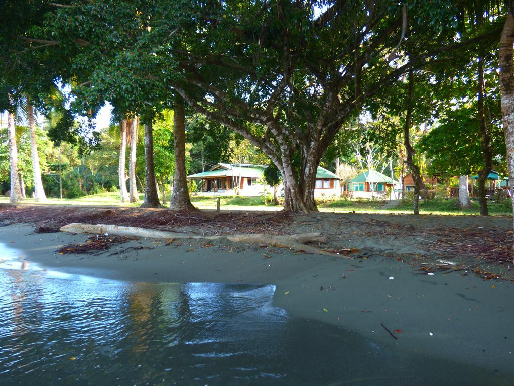 Corcovado * Puerto Jimenez