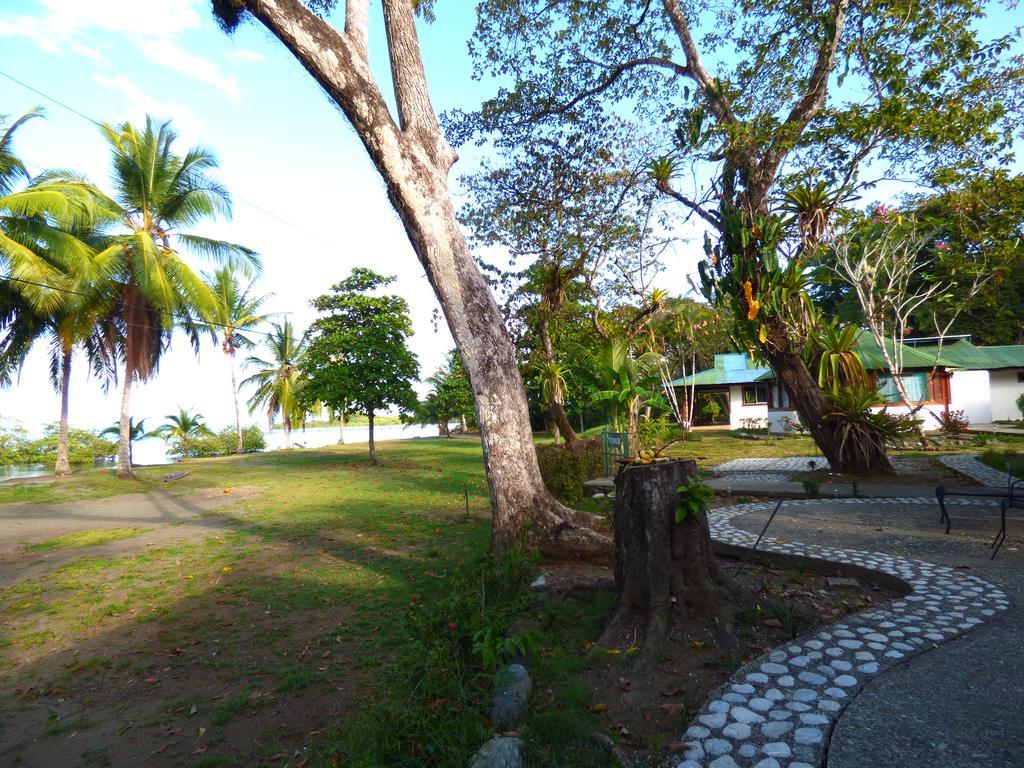 Corcovado Lodge Puerto Jimenez