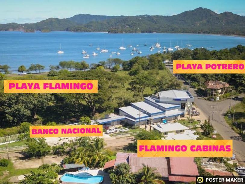 Cabinas Flamingo Guest house *