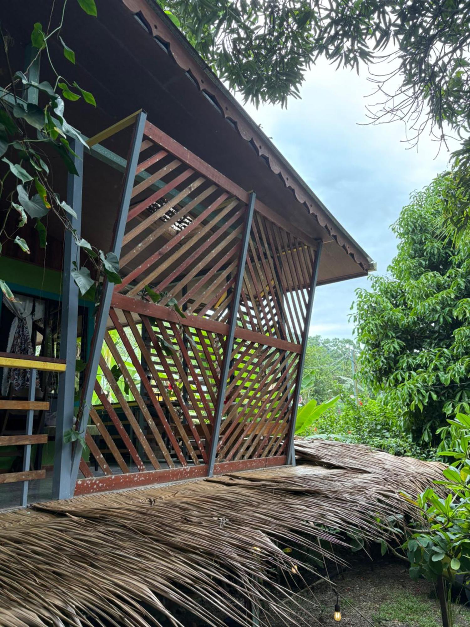 Guest house Organico Punta Riel