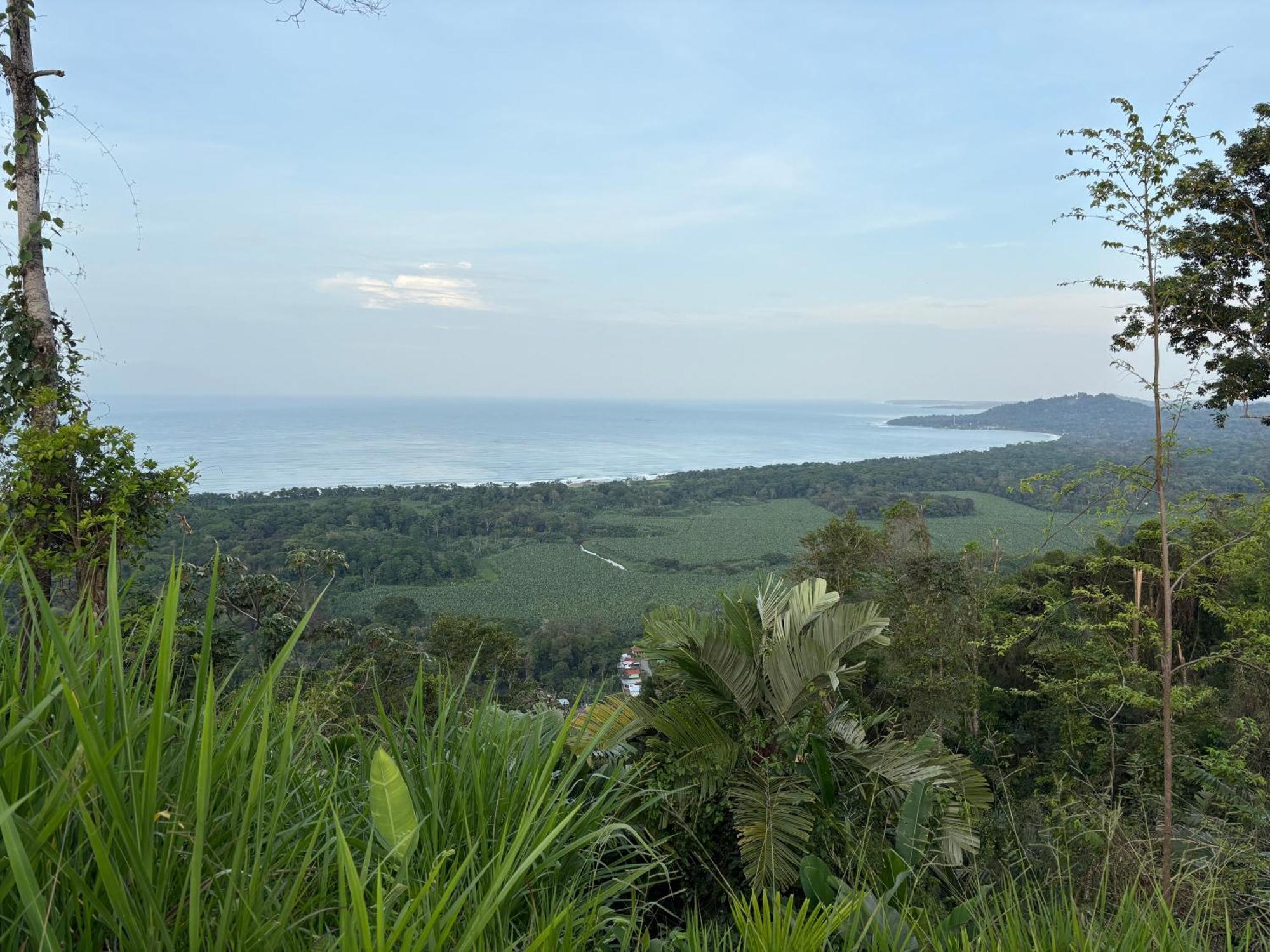 Organico Punta Riel Guest house *