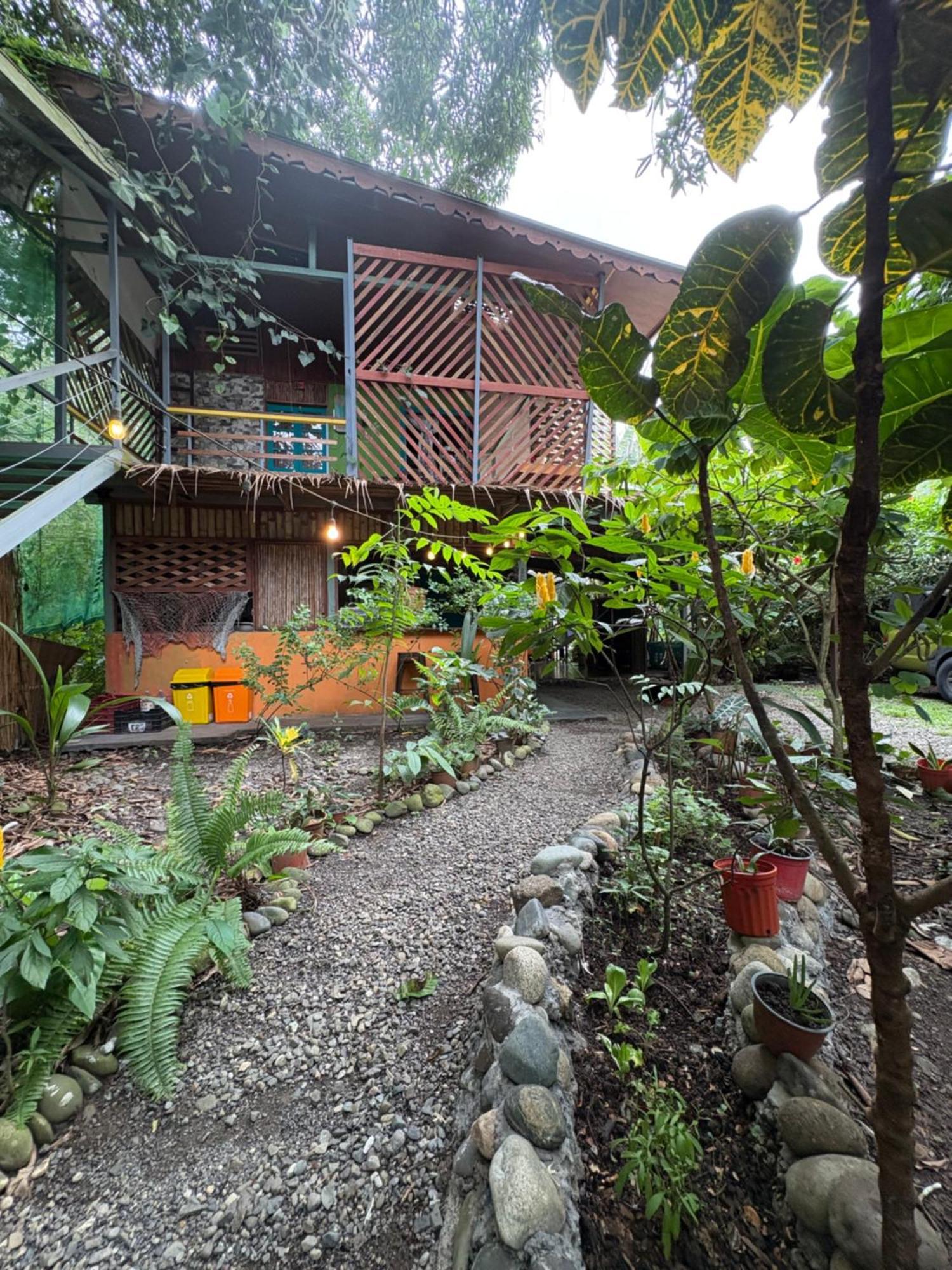 Guest house Organico Punta Riel *