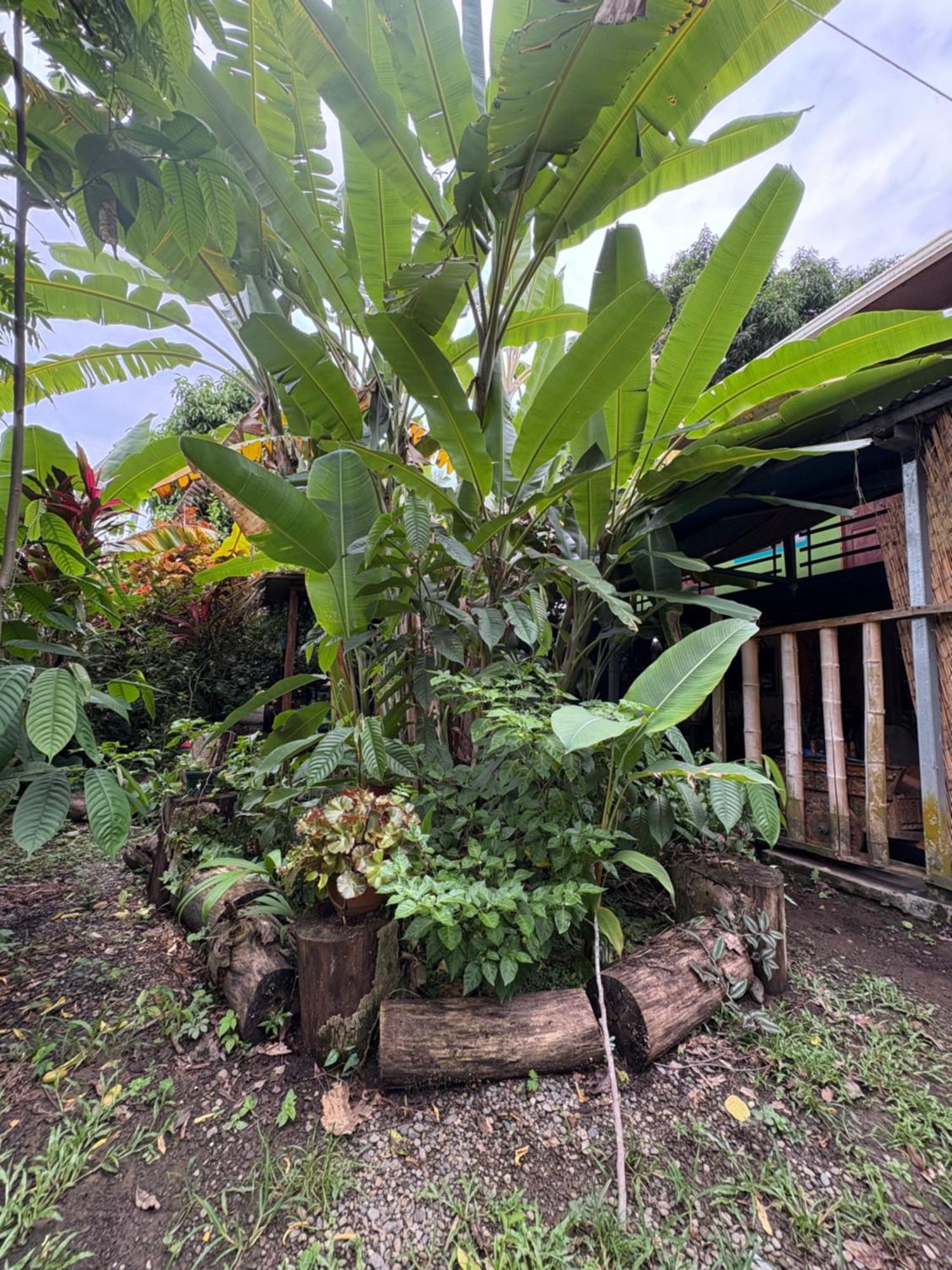 Guest house Organico Punta Riel