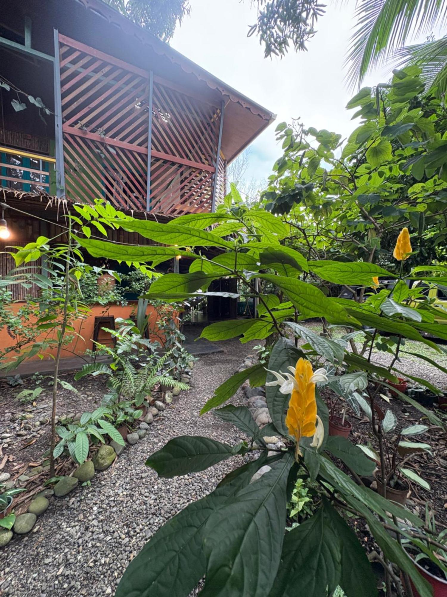 Organico Punta Riel Guest house Cahuita