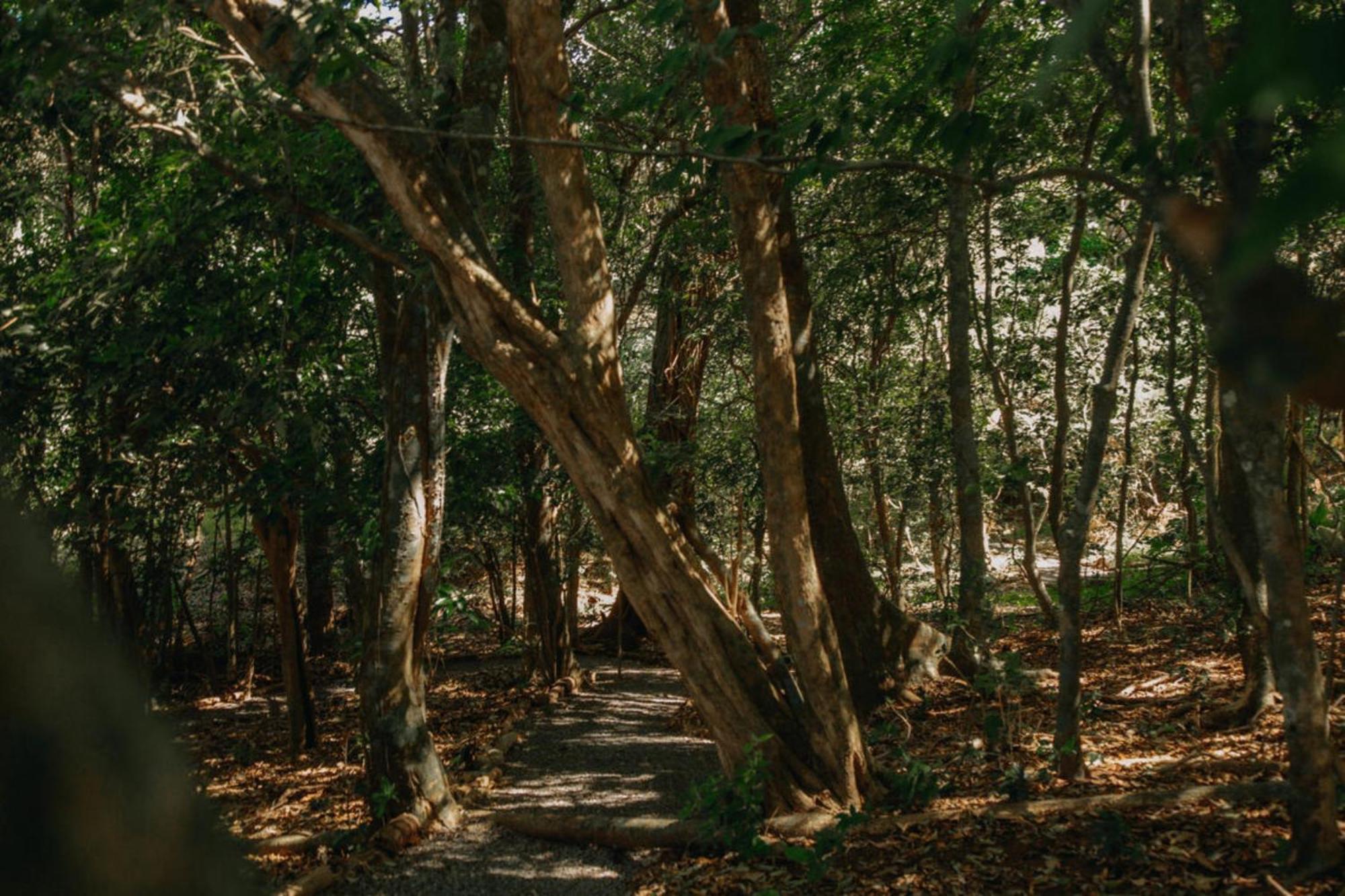 & Poco A Poco - Costa Rica Monteverde