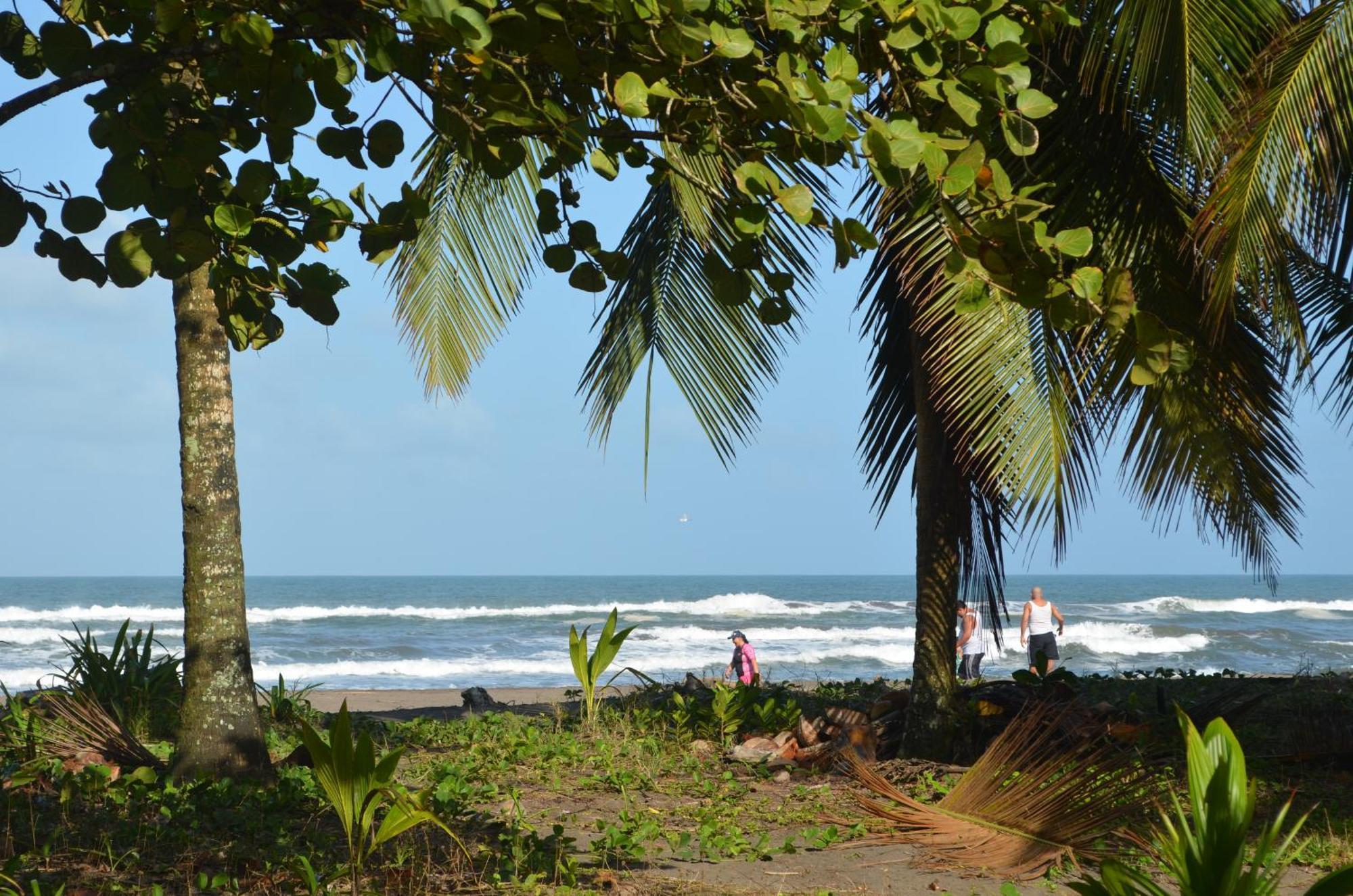 Pura Natura Beachfront * Tortuguero