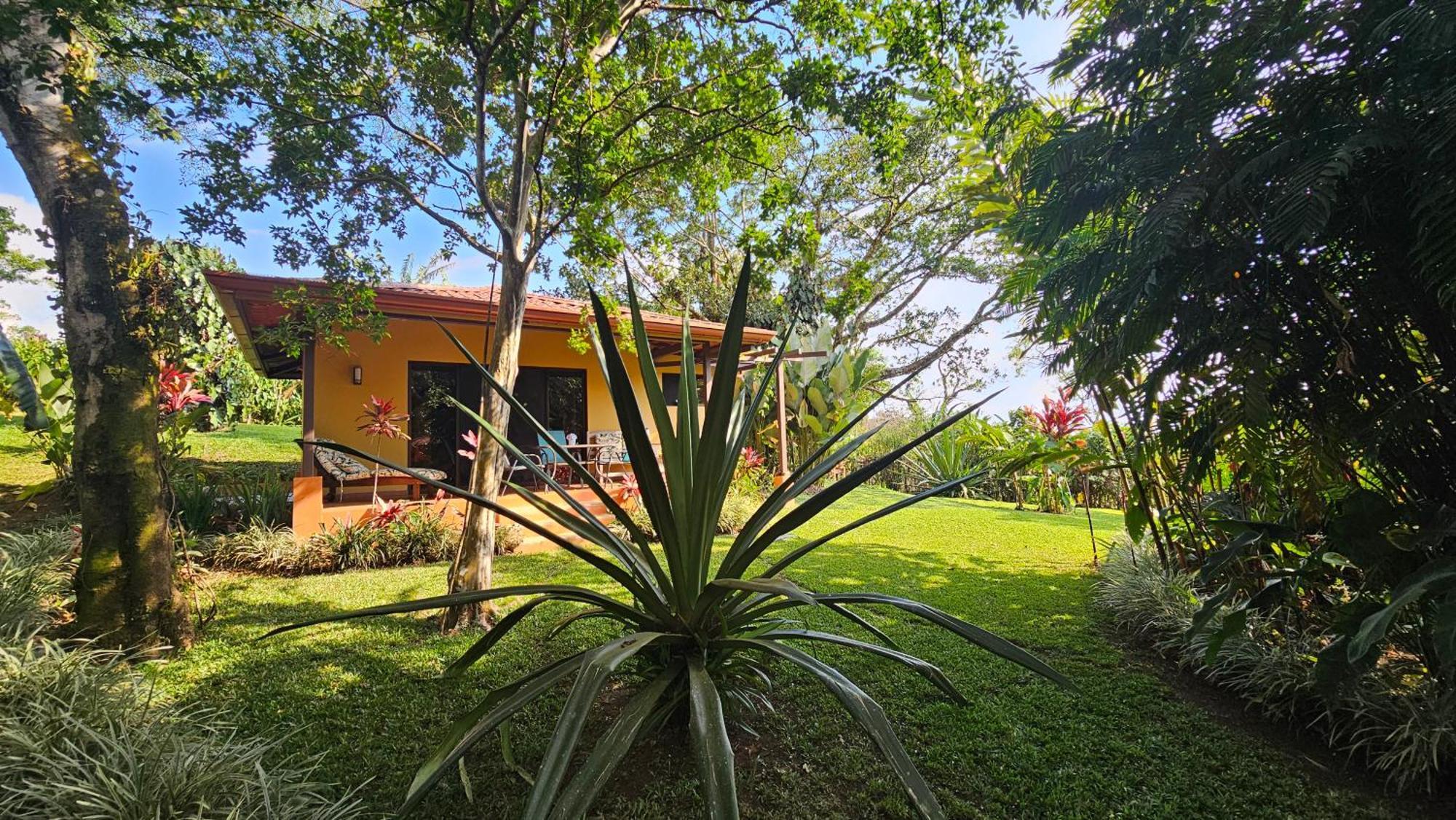 Tacacori Lodge