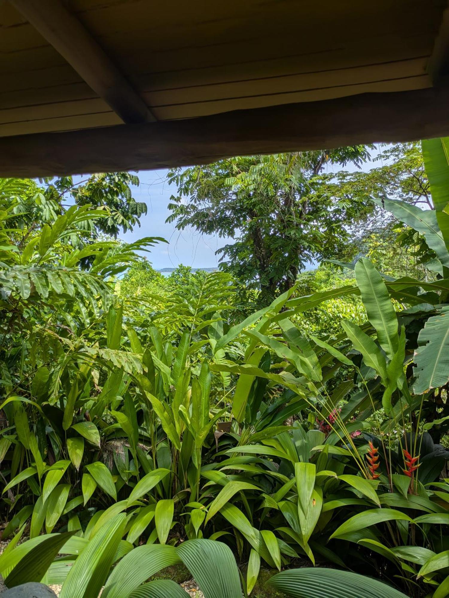 La Cusinga Lodge *