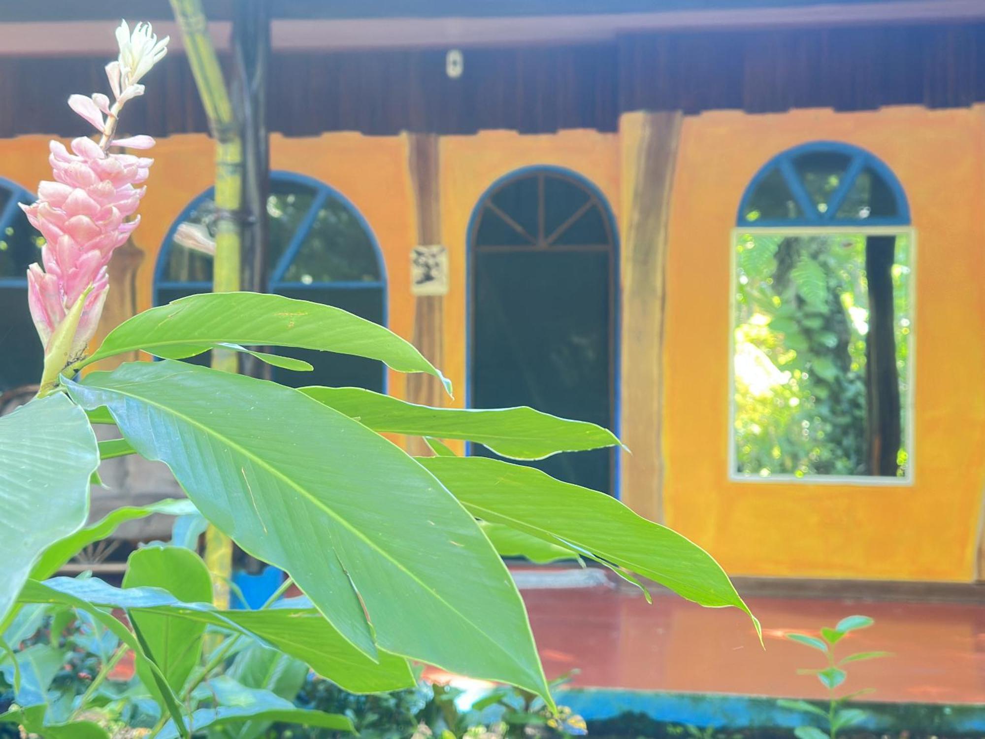 Hostel La Palapa Hut Nature