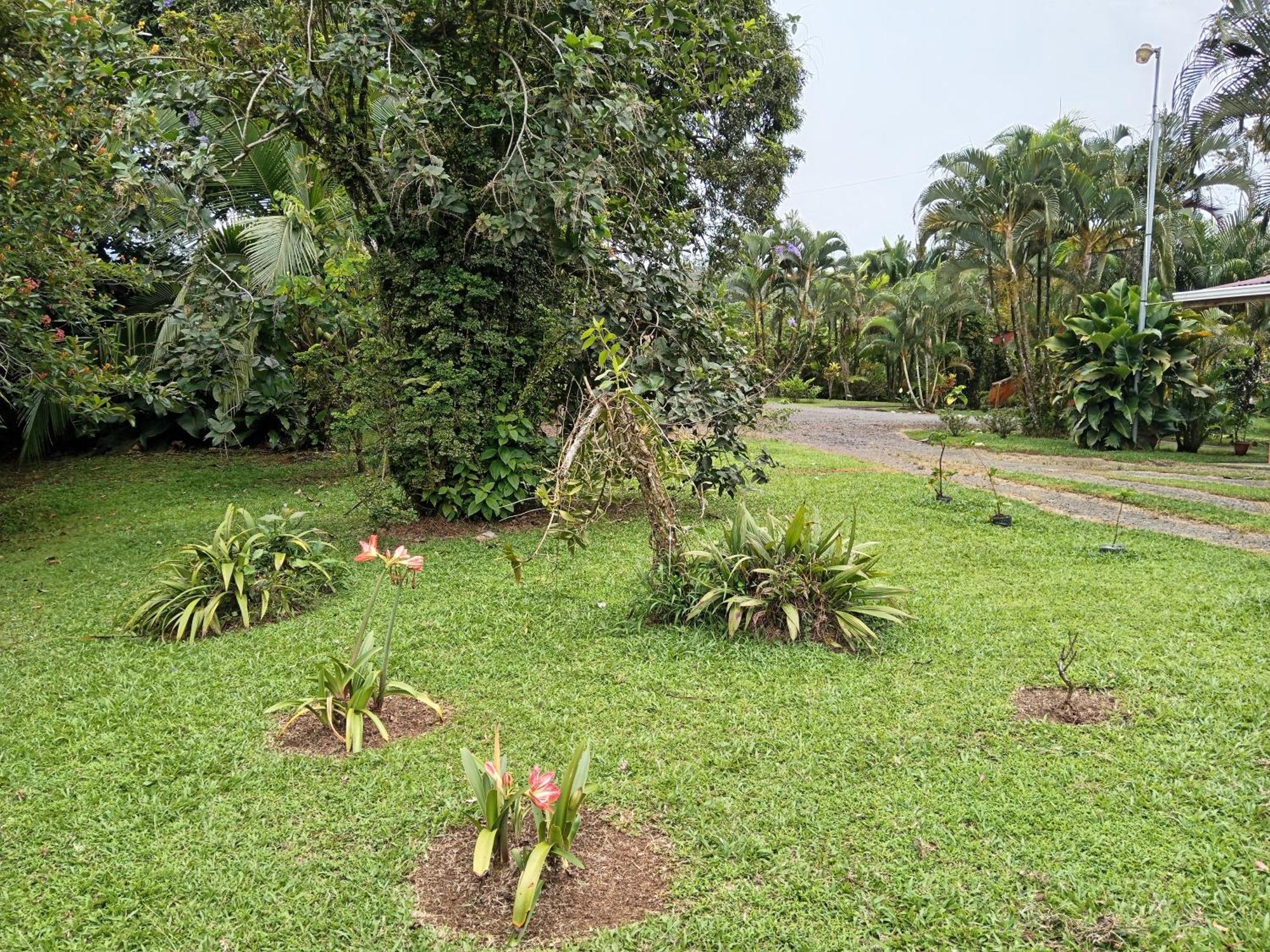 Inn Rural Rio Celeste 2*