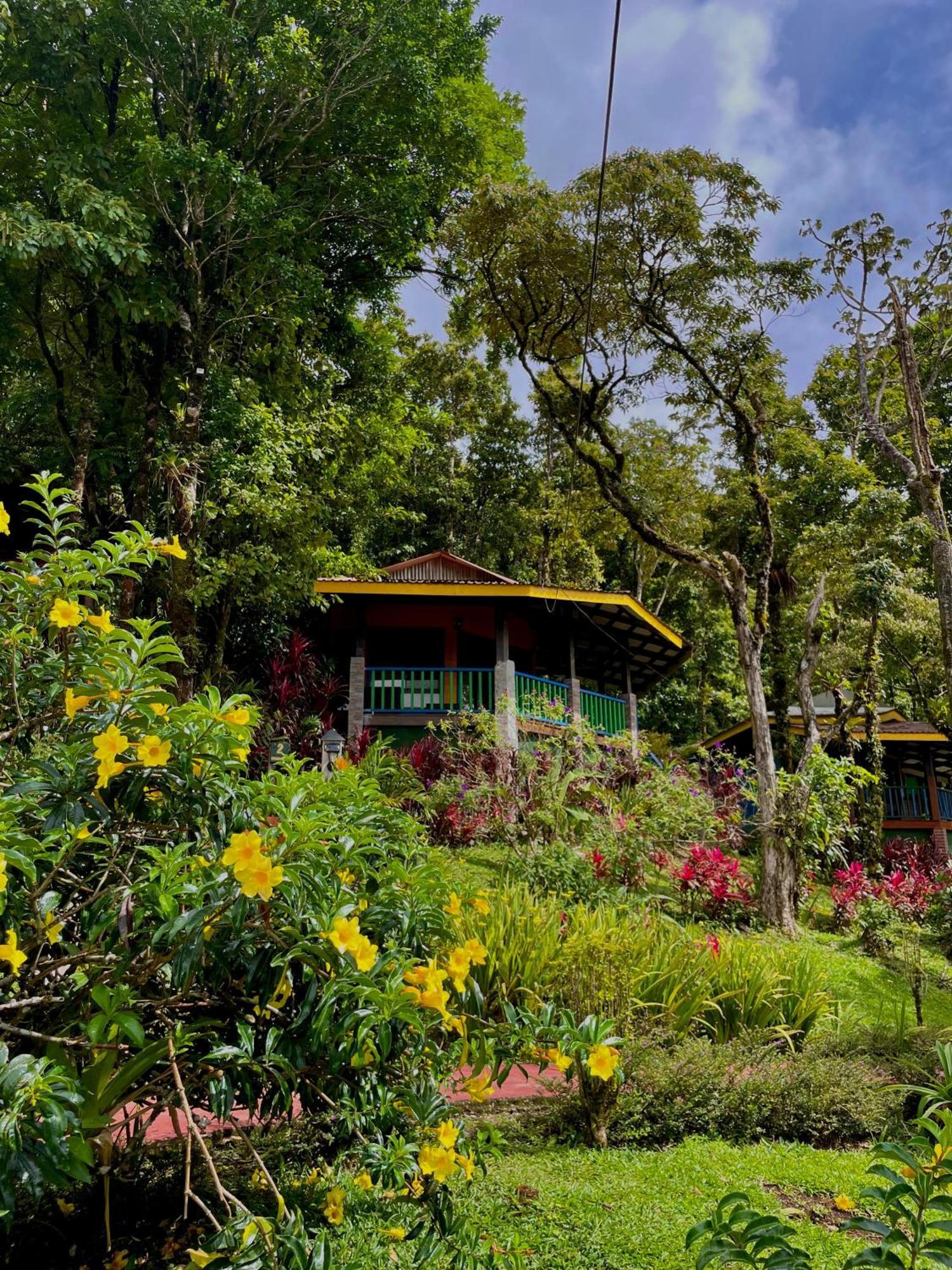 Heliconias Rainforest