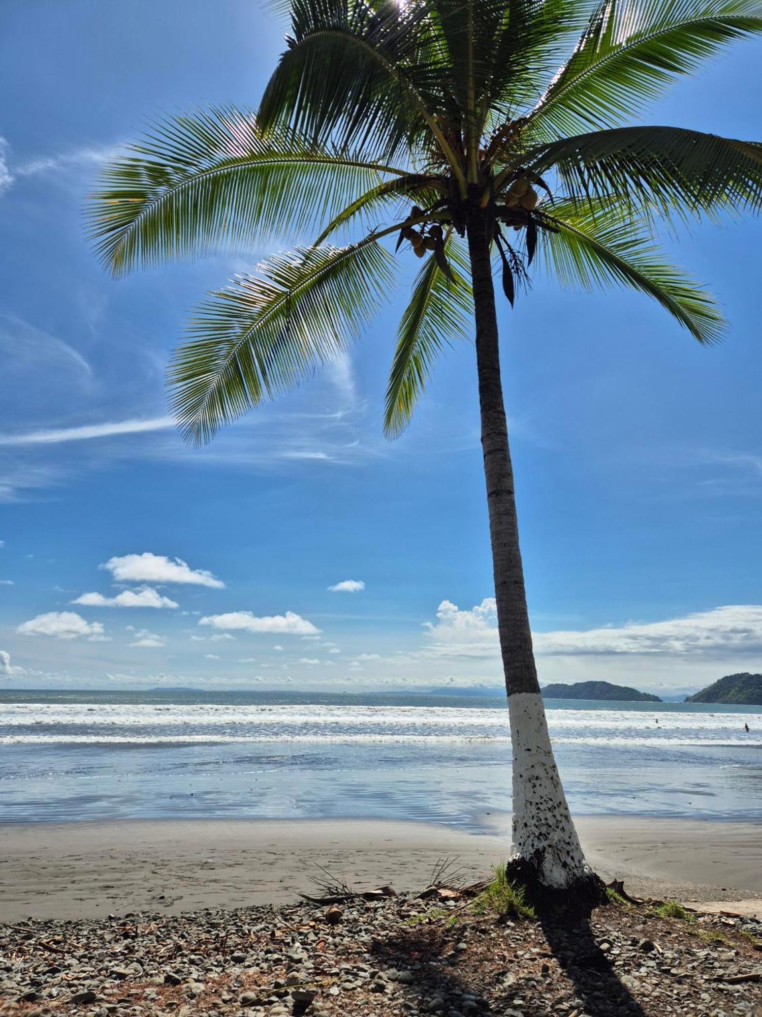 3 Bedroom Condo, Playa Y Surf, Especial Familias Costa Linda 4-19 Apartment Jaco