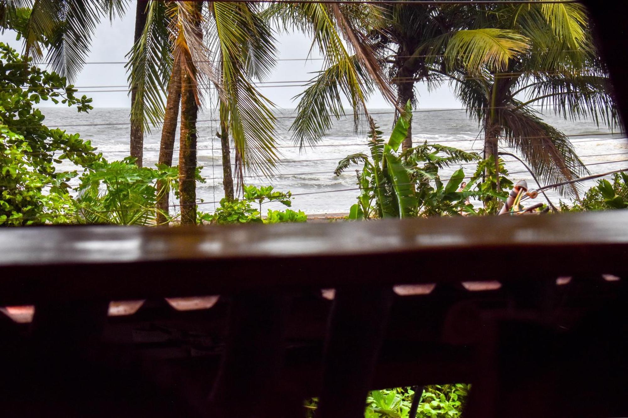 El Deseo Serendipity Tortuguero