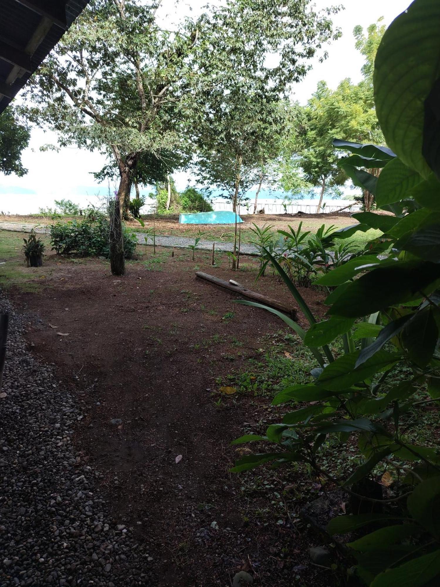 Happy Monkeys Holiday home *