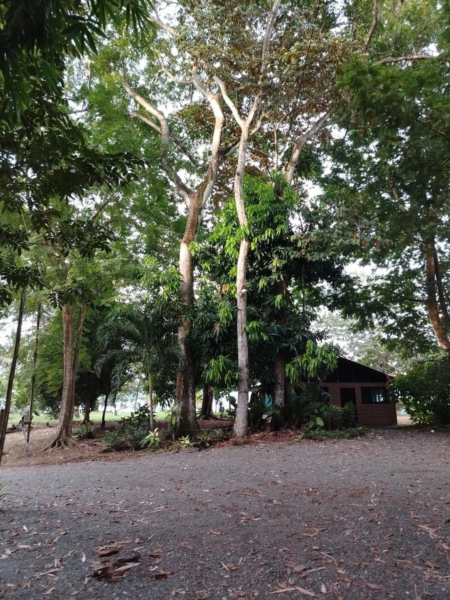 Holiday home Happy Monkeys Puerto Jimenez