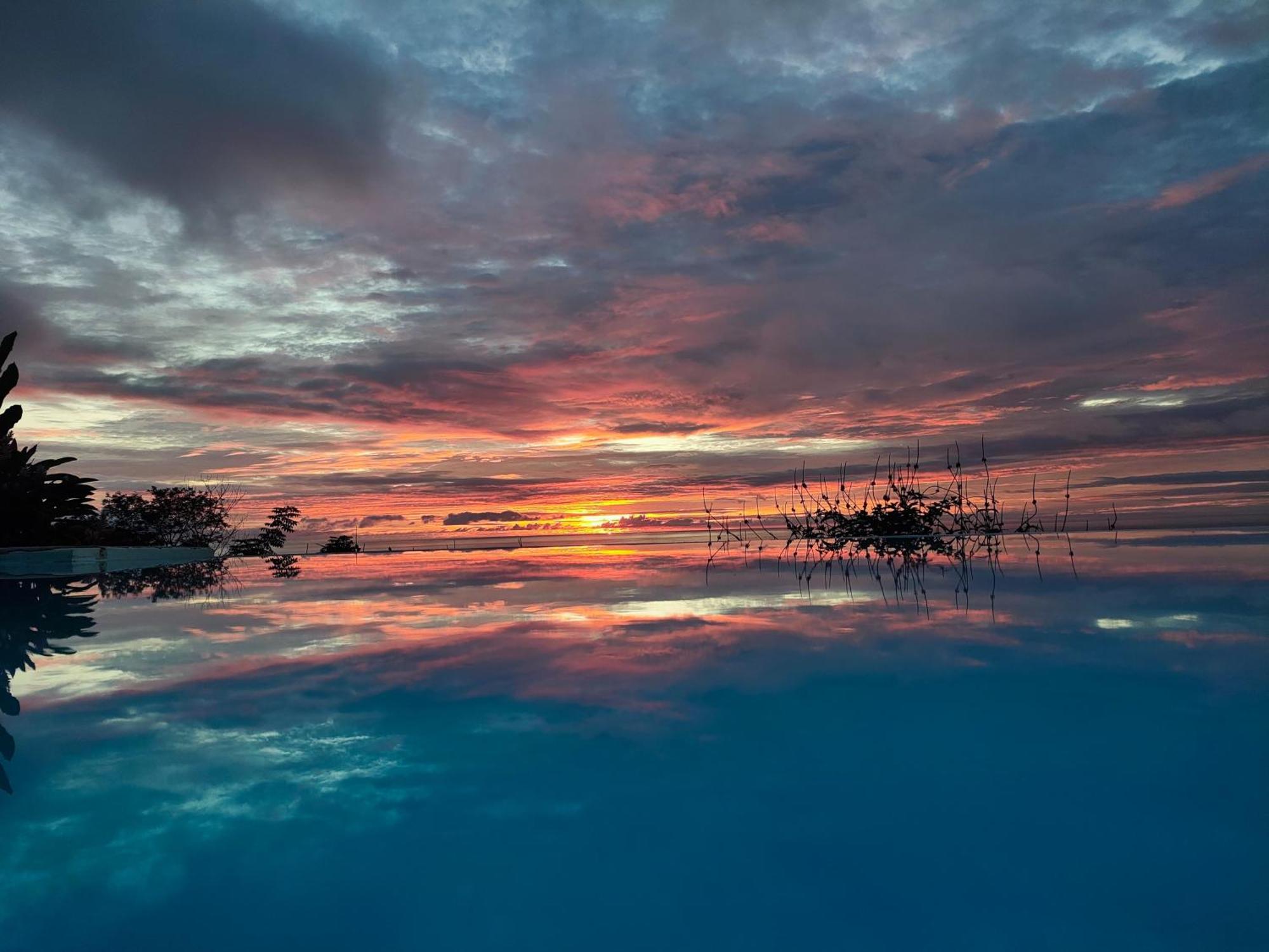 Ballena Paraiso Uvita